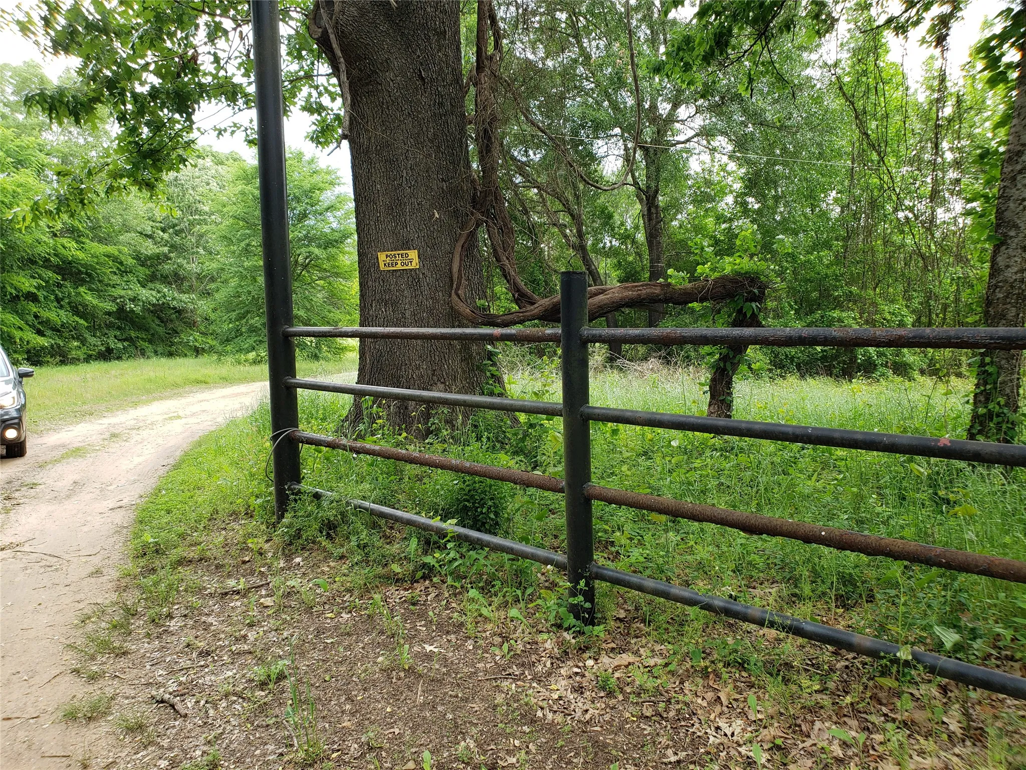 View of gate