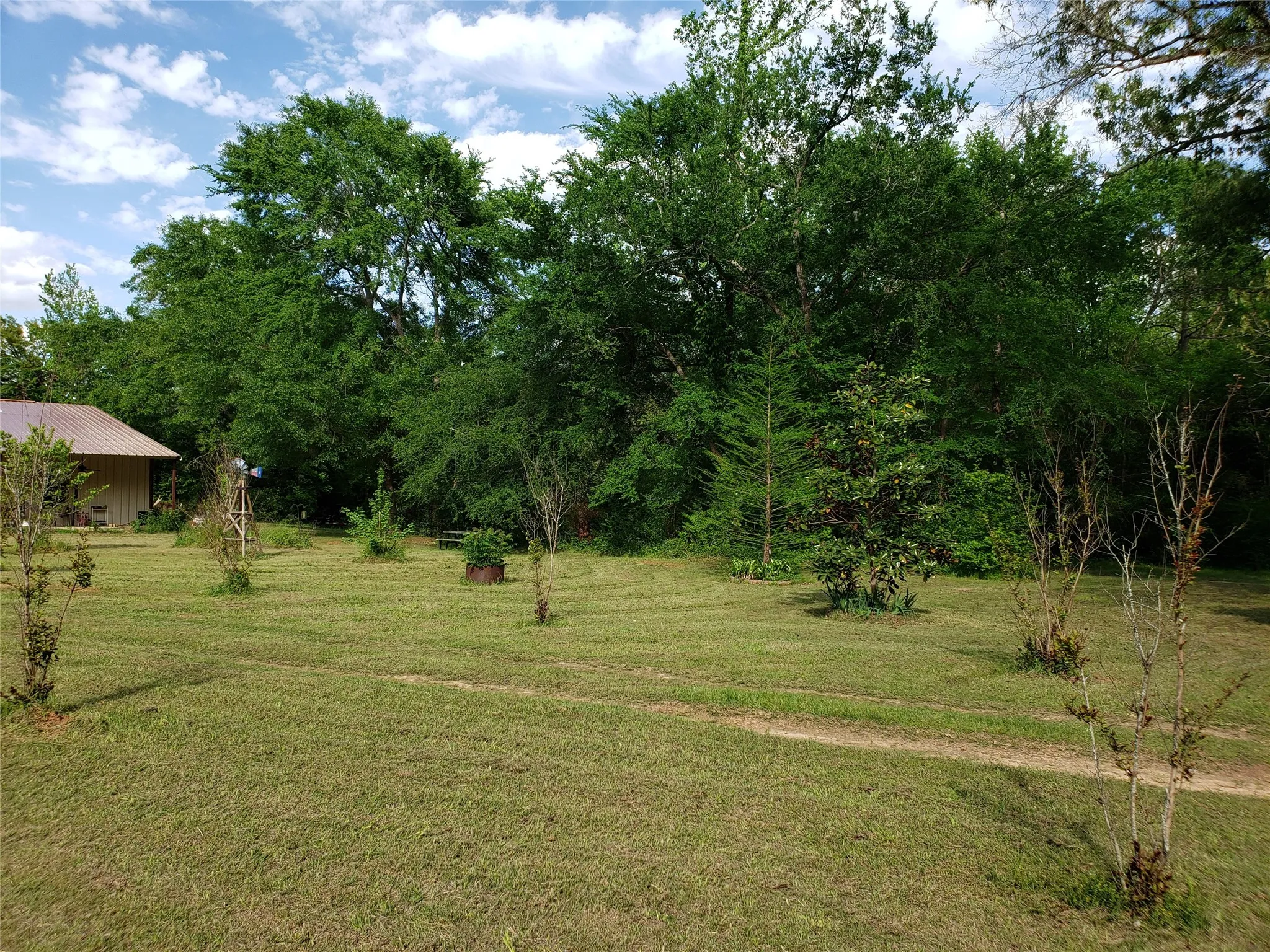 View of green lawn