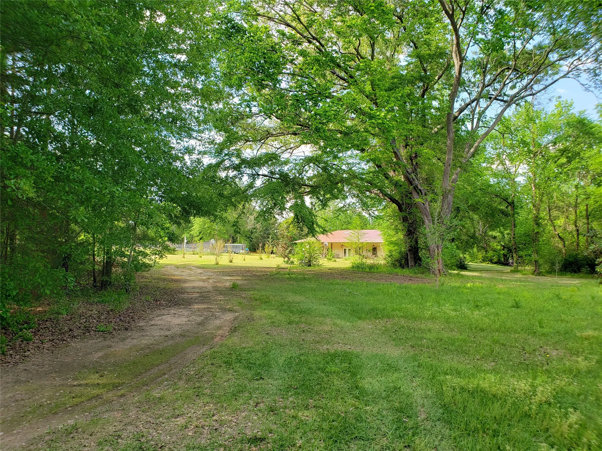 View of green lawn featuring view of scattered trees