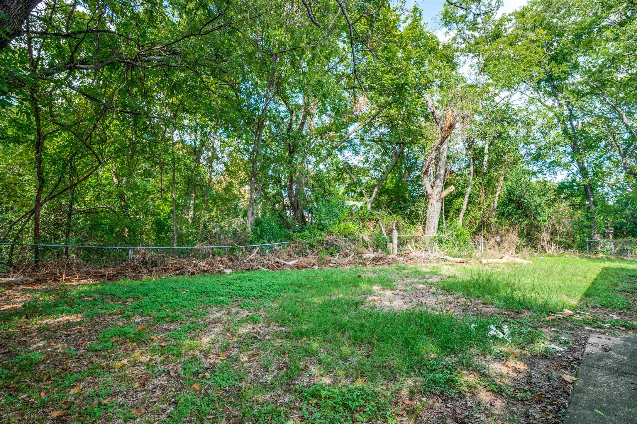 Backyard which backs to green space and the creek in the back.