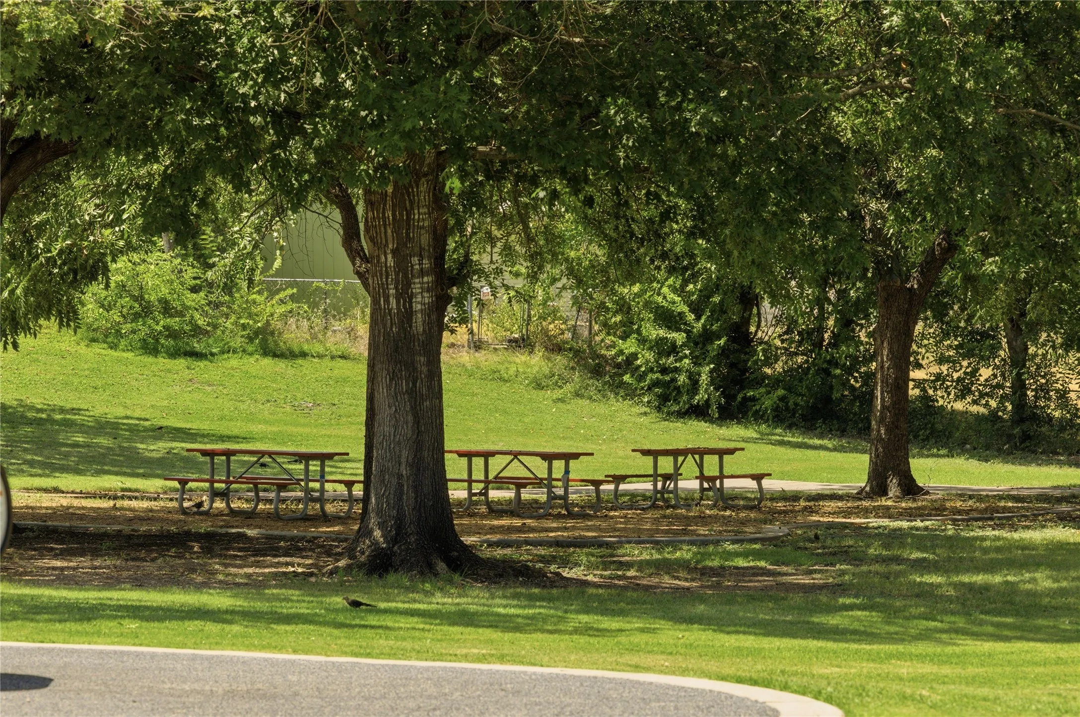 Local park!