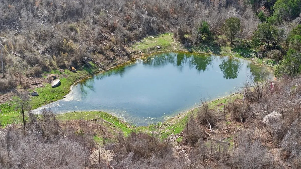 Ranch For Sale in Palo Pinto County , 4140 N State Hwy 16 Highway N, Graford, Texas 76449, 0, 0, Garage spaces, 0 Sqft, built in 0, Price $5,780,351, mls#21197369, Real Estate Agent in Graford, Homes For Sale in Palo Pinto county, Homes For Sale in Graford, Realtor in Graford Texas, Real Estate Brokerage Independent Realty Texas, Luminita Cordes Realtor