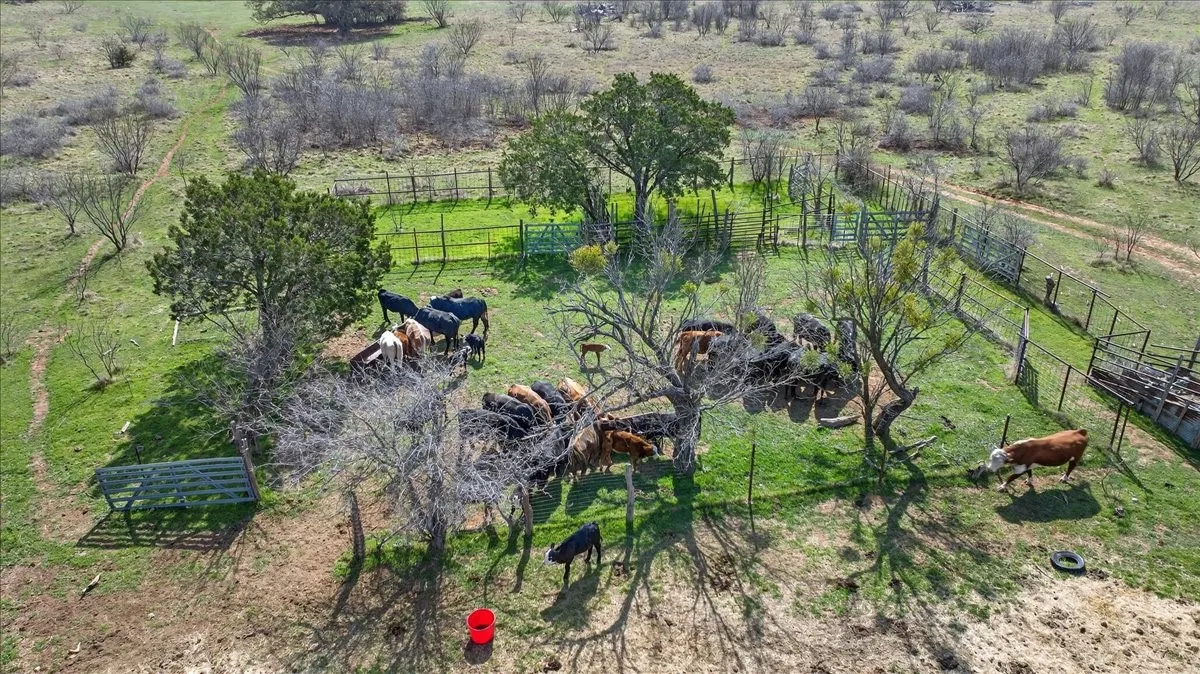 Ranch For Sale in Palo Pinto County , 4140 N State Hwy 16 Highway N, Graford, Texas 76449, 0, 0, Garage spaces, 0 Sqft, built in 0, Price $5,780,351, mls#21197369, Real Estate Agent in Graford, Homes For Sale in Palo Pinto county, Homes For Sale in Graford, Realtor in Graford Texas, Real Estate Brokerage Independent Realty Texas, Luminita Cordes Realtor