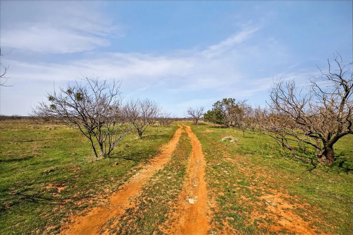 Ranch For Sale in Palo Pinto County , 4140 N State Hwy 16 Highway N, Graford, Texas 76449, 0, 0, Garage spaces, 0 Sqft, built in 0, Price $5,780,351, mls#21197369, Real Estate Agent in Graford, Homes For Sale in Palo Pinto county, Homes For Sale in Graford, Realtor in Graford Texas, Real Estate Brokerage Independent Realty Texas, Luminita Cordes Realtor