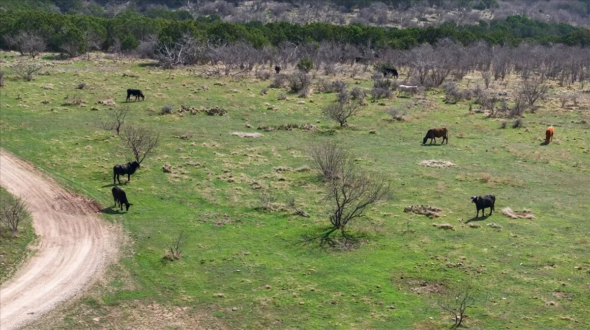 Ranch For Sale in Palo Pinto County , 4140 N State Hwy 16 Highway N, Graford, Texas 76449, 0, 0, Garage spaces, 0 Sqft, built in 0, Price $5,780,351, mls#21197369, Real Estate Agent in Graford, Homes For Sale in Palo Pinto county, Homes For Sale in Graford, Realtor in Graford Texas, Real Estate Brokerage Independent Realty Texas, Luminita Cordes Realtor