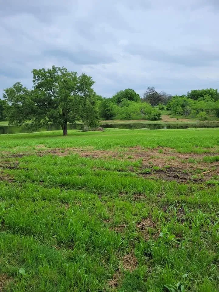 Unimproved Land For Sale in Navarro County , Lot 80 Diamond Point, Corsicana, Texas 75109, 0, 0, Garage spaces, 0 Sqft, built in 0, mls#21197678, Real Estate Agent in Corsicana, Homes For Sale in Navarro county, Homes For Sale in Corsicana, Realtor in Corsicana Texas, Real Estate Brokerage Independent Realty Texas, Luminita Cordes Realtor