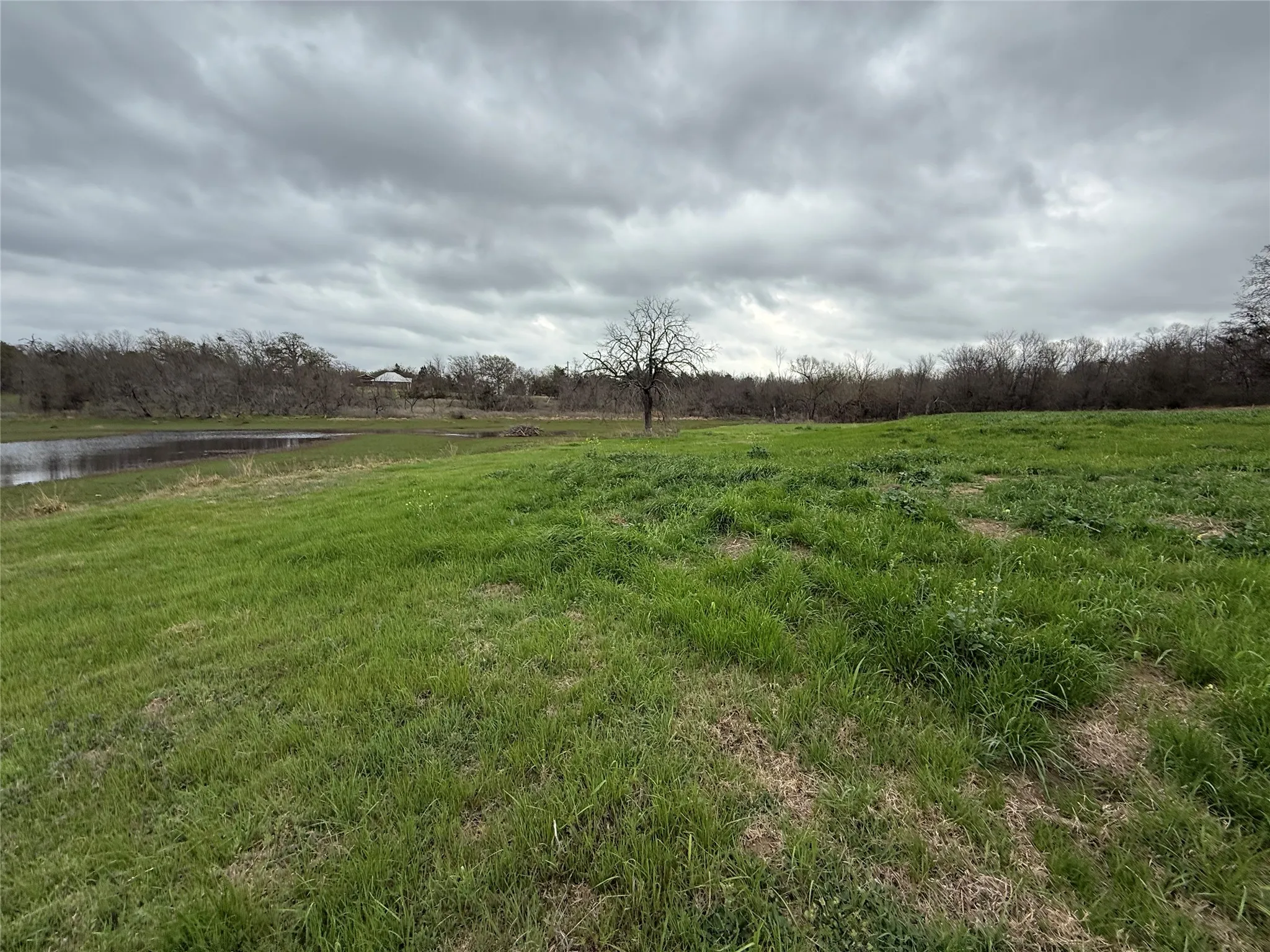 Unimproved Land For Sale in Navarro County , Lot 80 Diamond Point, Corsicana, Texas 75109, 0, 0, Garage spaces, 0 Sqft, built in 0, mls#21197678, Real Estate Agent in Corsicana, Homes For Sale in Navarro county, Homes For Sale in Corsicana, Realtor in Corsicana Texas, Real Estate Brokerage Independent Realty Texas, Luminita Cordes Realtor
