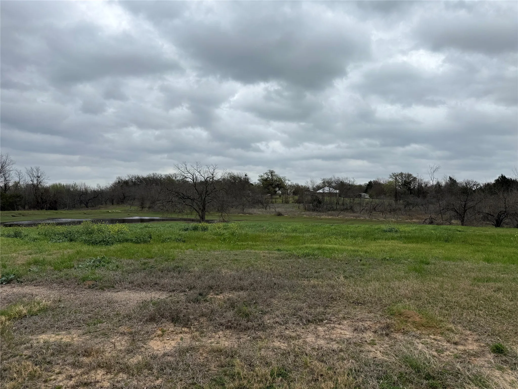 Unimproved Land For Sale in Navarro County , Lot 80 Diamond Point, Corsicana, Texas 75109, 0, 0, Garage spaces, 0 Sqft, built in 0, mls#21197678, Real Estate Agent in Corsicana, Homes For Sale in Navarro county, Homes For Sale in Corsicana, Realtor in Corsicana Texas, Real Estate Brokerage Independent Realty Texas, Luminita Cordes Realtor