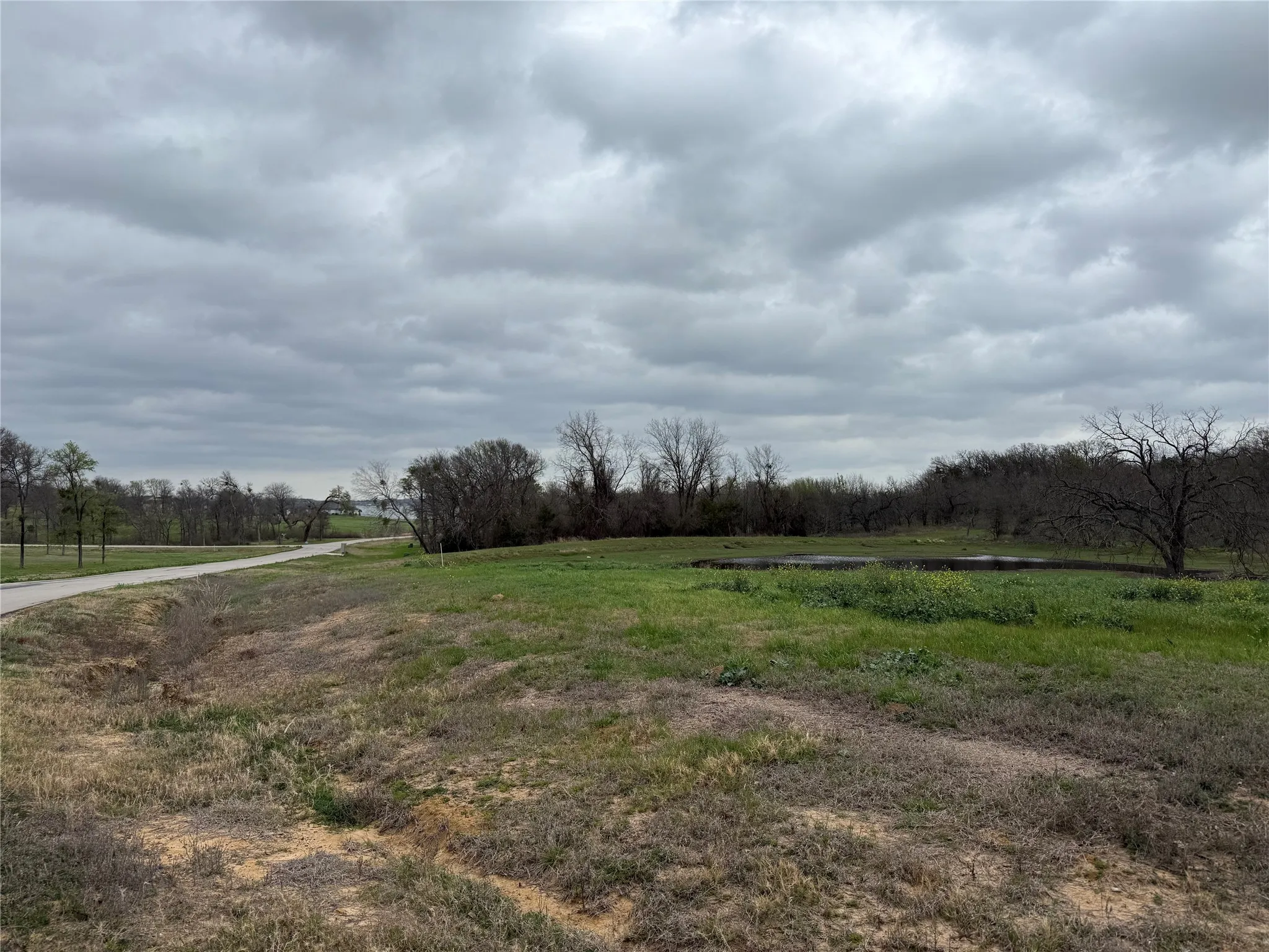 Unimproved Land For Sale in Navarro County , Lot 80 Diamond Point, Corsicana, Texas 75109, 0, 0, Garage spaces, 0 Sqft, built in 0, mls#21197678, Real Estate Agent in Corsicana, Homes For Sale in Navarro county, Homes For Sale in Corsicana, Realtor in Corsicana Texas, Real Estate Brokerage Independent Realty Texas, Luminita Cordes Realtor