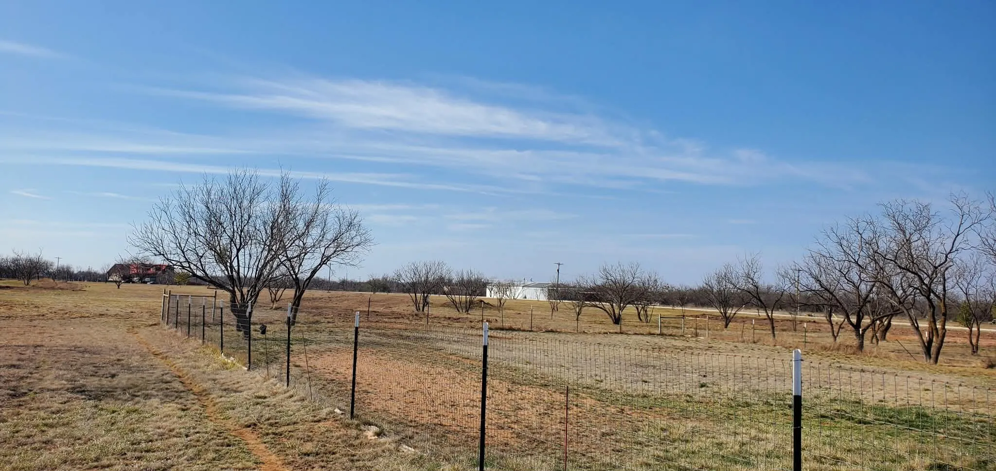 Mobile Home For Sale in Jones County , 20326 County Road 304, Abilene, Texas 79601, 3 Bedrooms, 2 Bathrooms, Garage spaces, 1,904 Sqft, built in 1999, Price $399,999, mls#21196844, Real Estate Agent in Abilene, Homes For Sale in Jones county, Homes For Sale in Abilene, Realtor in Abilene Texas, Real Estate Brokerage Independent Realty Texas, Luminita Cordes Realtor