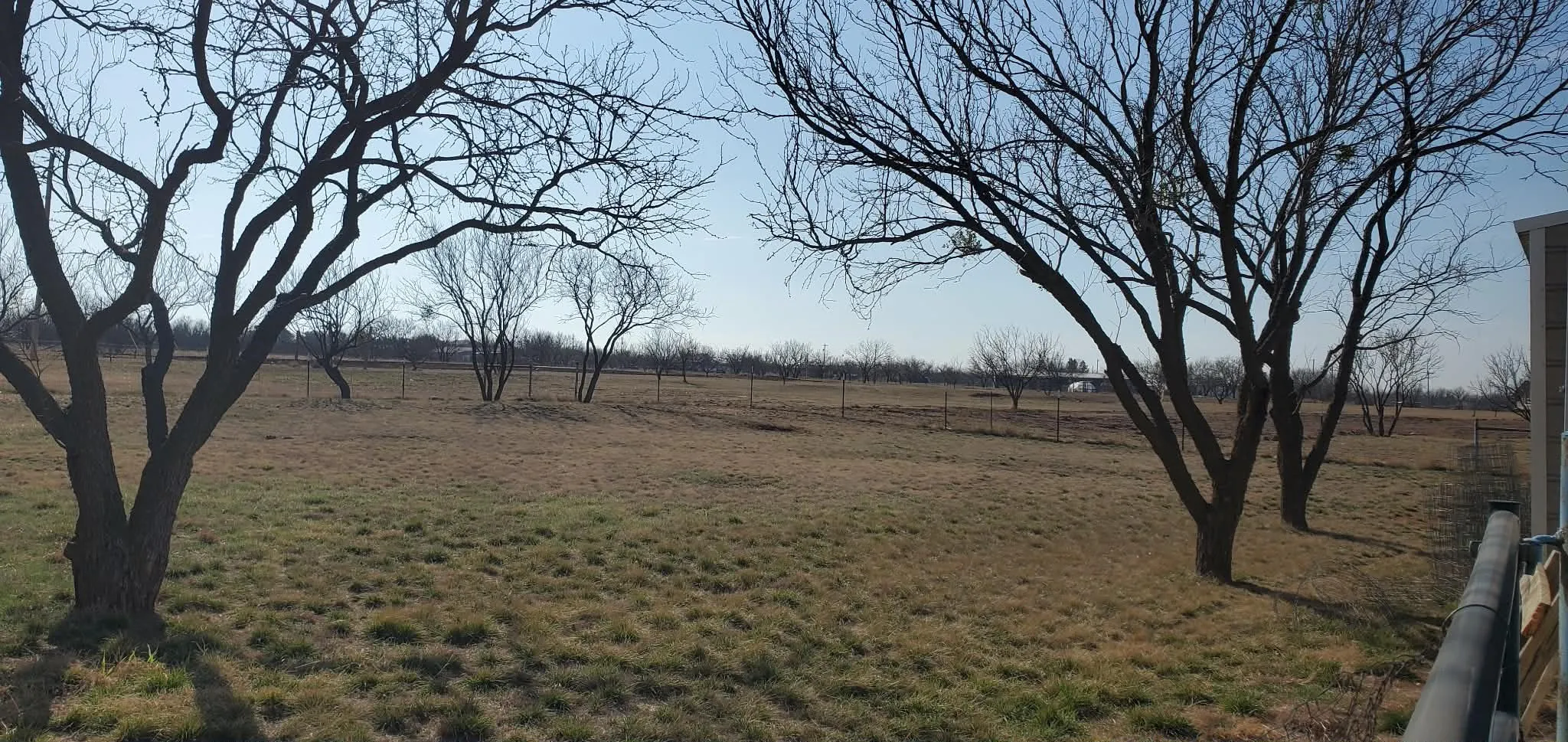 Fenced in Back Yard