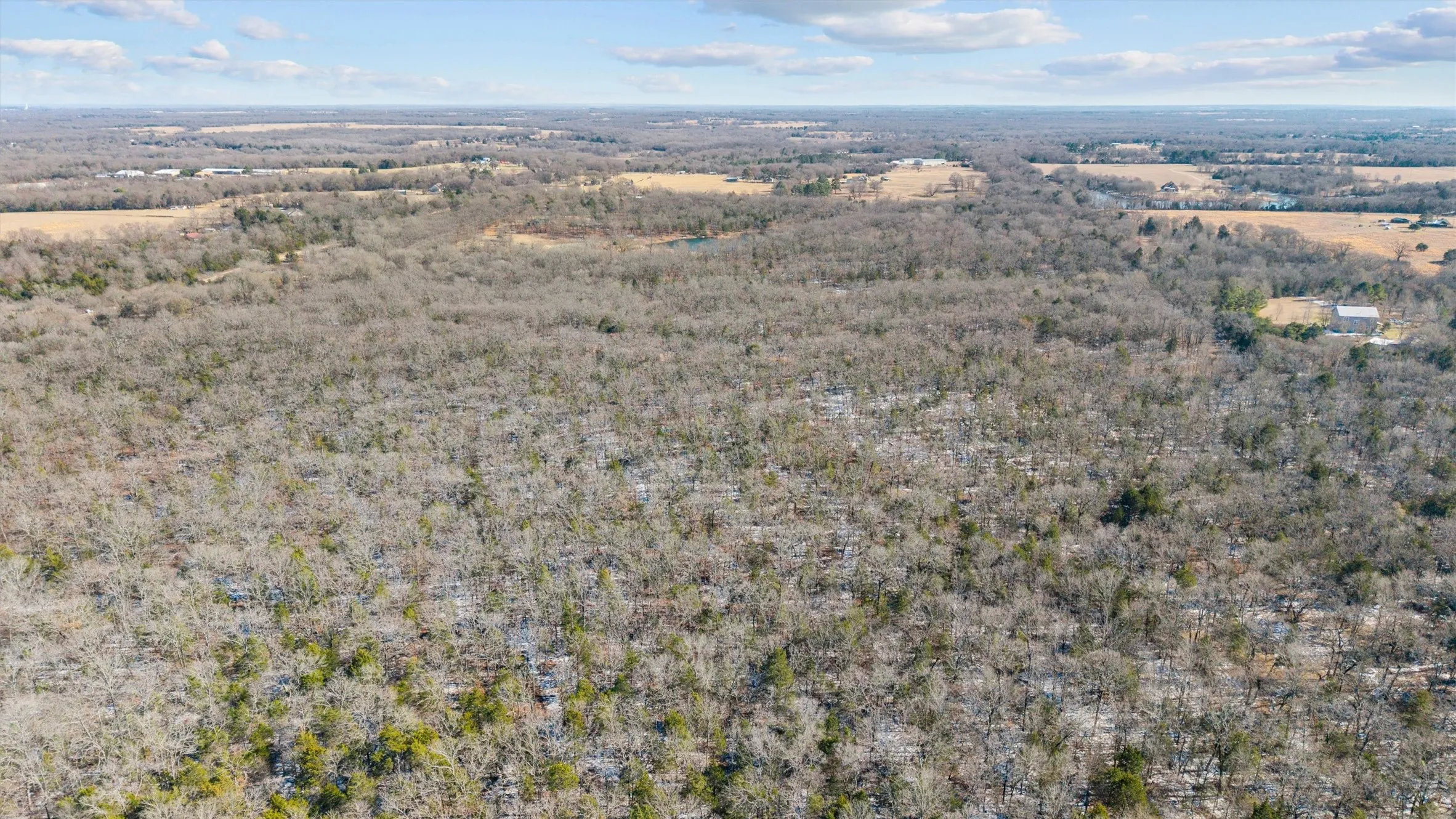 Unimproved Land For Sale in Van Zandt County , TBD County Road 3105, Edgewood, Texas 75117, 0, 0, Garage spaces, 0 Sqft, built in 0, mls#21197914, Real Estate Agent in Edgewood, Homes For Sale in Van Zandt county, Homes For Sale in Edgewood, Realtor in Edgewood Texas, Real Estate Brokerage Independent Realty Texas, Luminita Cordes Realtor
