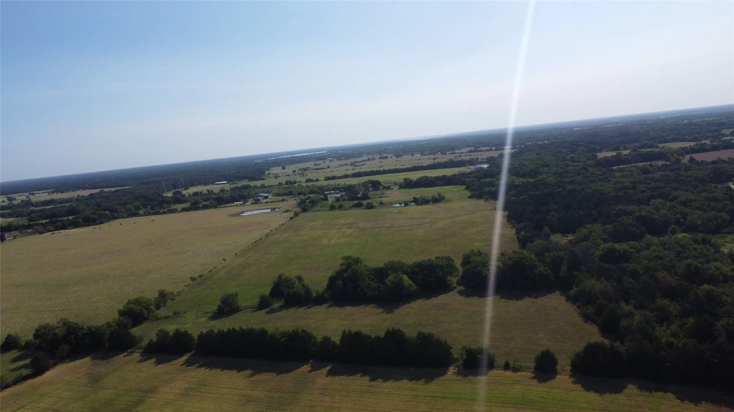 From the West boundary looking East towards the existing home in the Northeast corner of the 31 acres