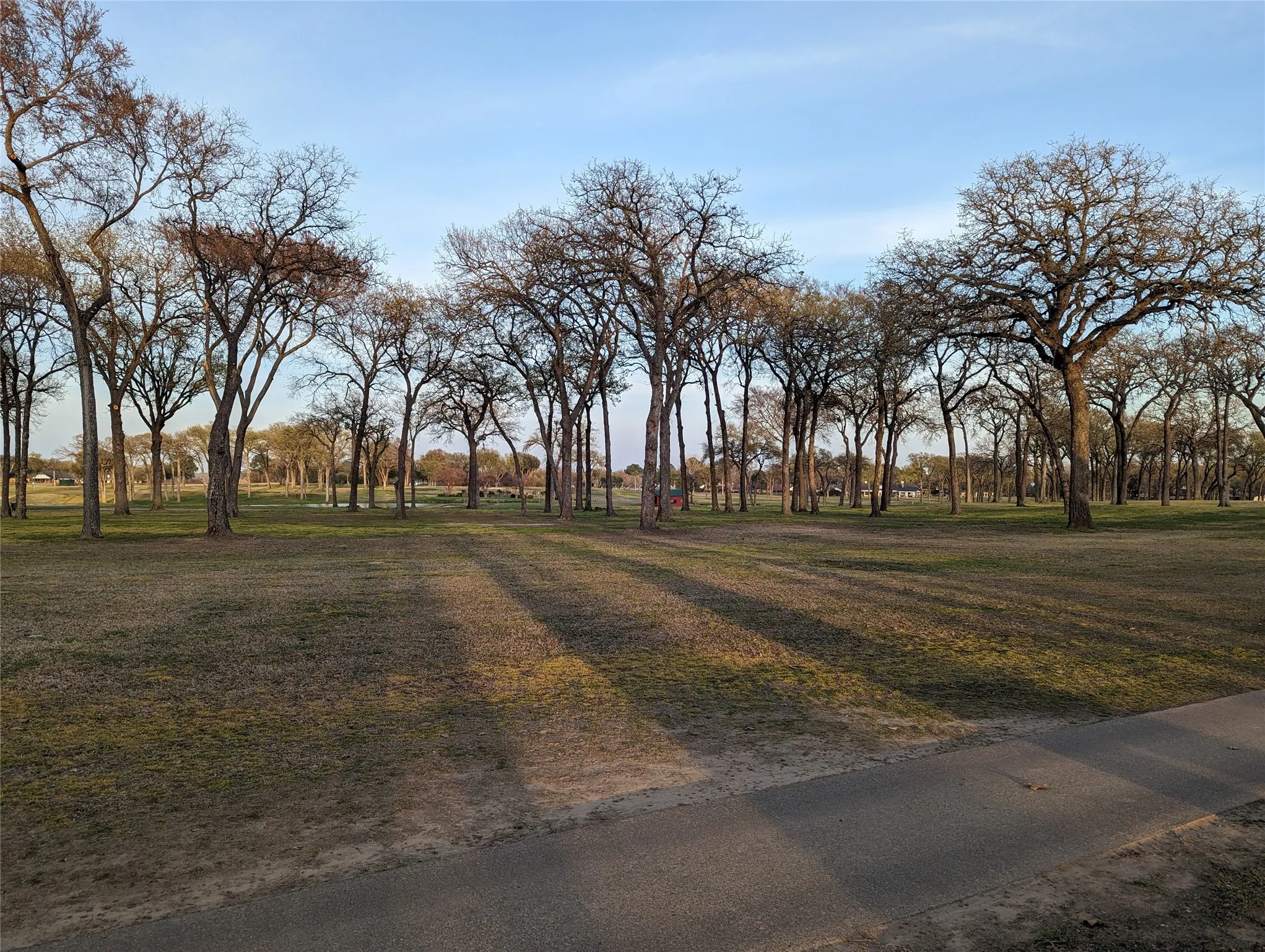 Unimproved Land For Sale in Kaufman County , 0 Briarwood Drive, Kemp, Texas 75143, 0, 0, Garage spaces, 0 Sqft, built in 0, mls#21198002, Real Estate Agent in Kemp, Homes For Sale in Kaufman county, Homes For Sale in Kemp, Realtor in Kemp Texas, Real Estate Brokerage Independent Realty Texas, Luminita Cordes Realtor