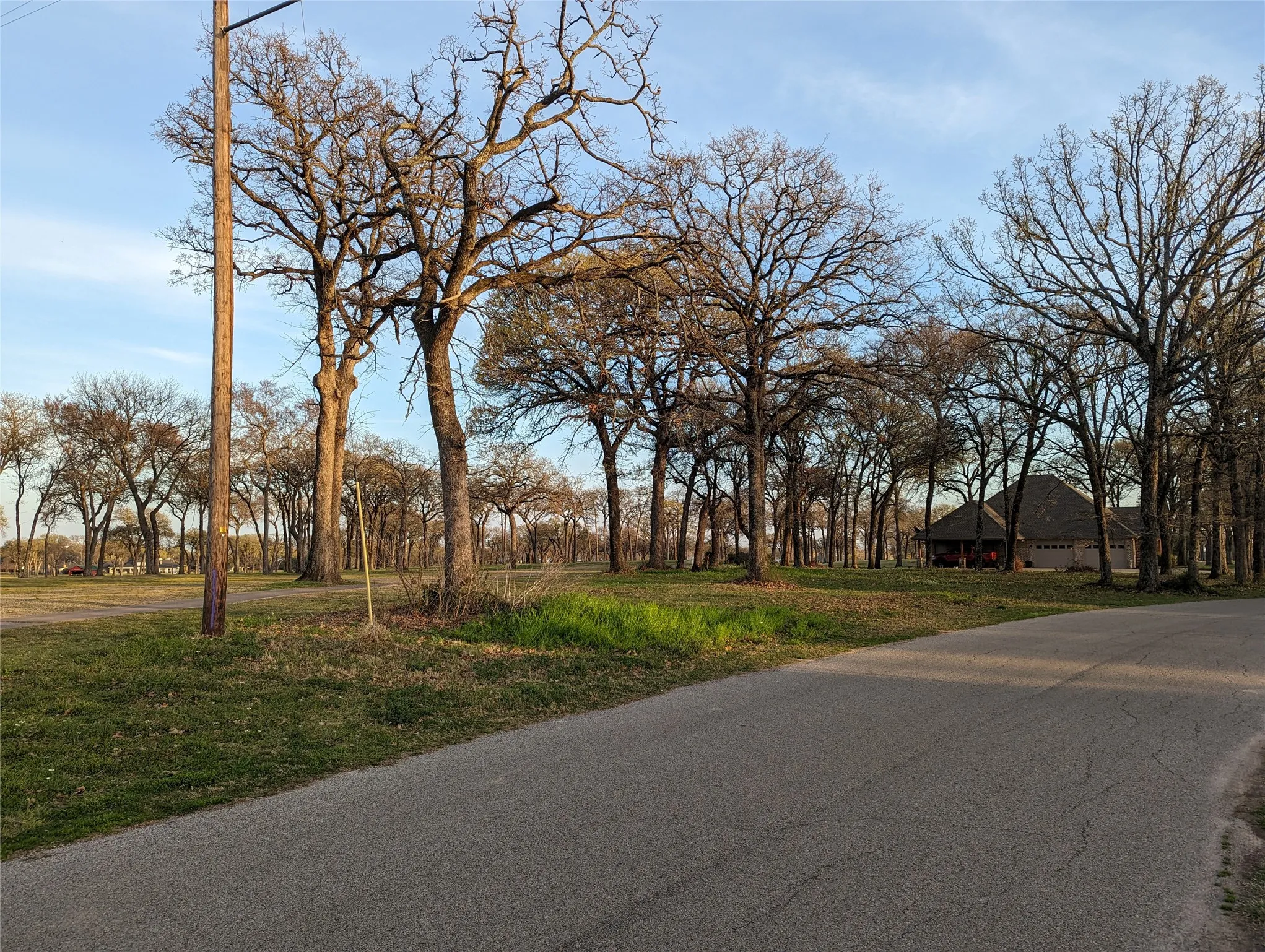 Unimproved Land For Sale in Kaufman County , 0 Briarwood Drive, Kemp, Texas 75143, 0, 0, Garage spaces, 0 Sqft, built in 0, mls#21198002, Real Estate Agent in Kemp, Homes For Sale in Kaufman county, Homes For Sale in Kemp, Realtor in Kemp Texas, Real Estate Brokerage Independent Realty Texas, Luminita Cordes Realtor