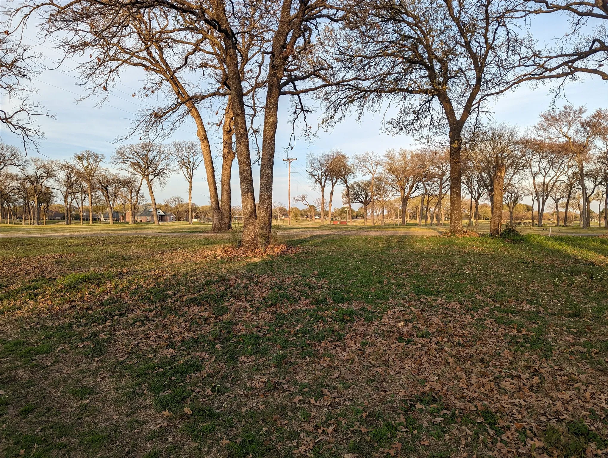 Unimproved Land For Sale in Kaufman County , 0 Briarwood Drive, Kemp, Texas 75143, 0, 0, Garage spaces, 0 Sqft, built in 0, mls#21198002, Real Estate Agent in Kemp, Homes For Sale in Kaufman county, Homes For Sale in Kemp, Realtor in Kemp Texas, Real Estate Brokerage Independent Realty Texas, Luminita Cordes Realtor