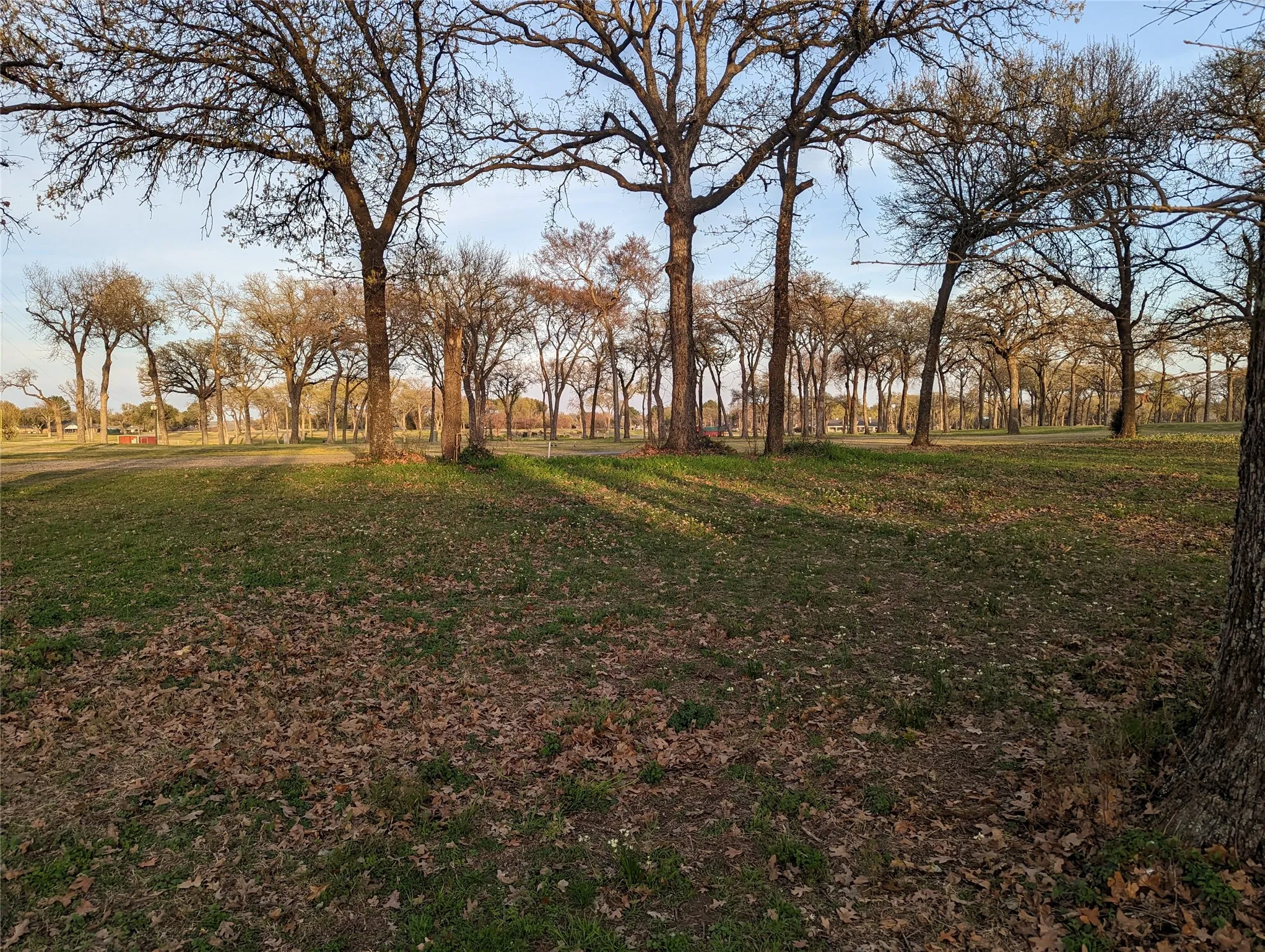 Unimproved Land For Sale in Kaufman County , 0 Briarwood Drive, Kemp, Texas 75143, 0, 0, Garage spaces, 0 Sqft, built in 0, mls#21198002, Real Estate Agent in Kemp, Homes For Sale in Kaufman county, Homes For Sale in Kemp, Realtor in Kemp Texas, Real Estate Brokerage Independent Realty Texas, Luminita Cordes Realtor