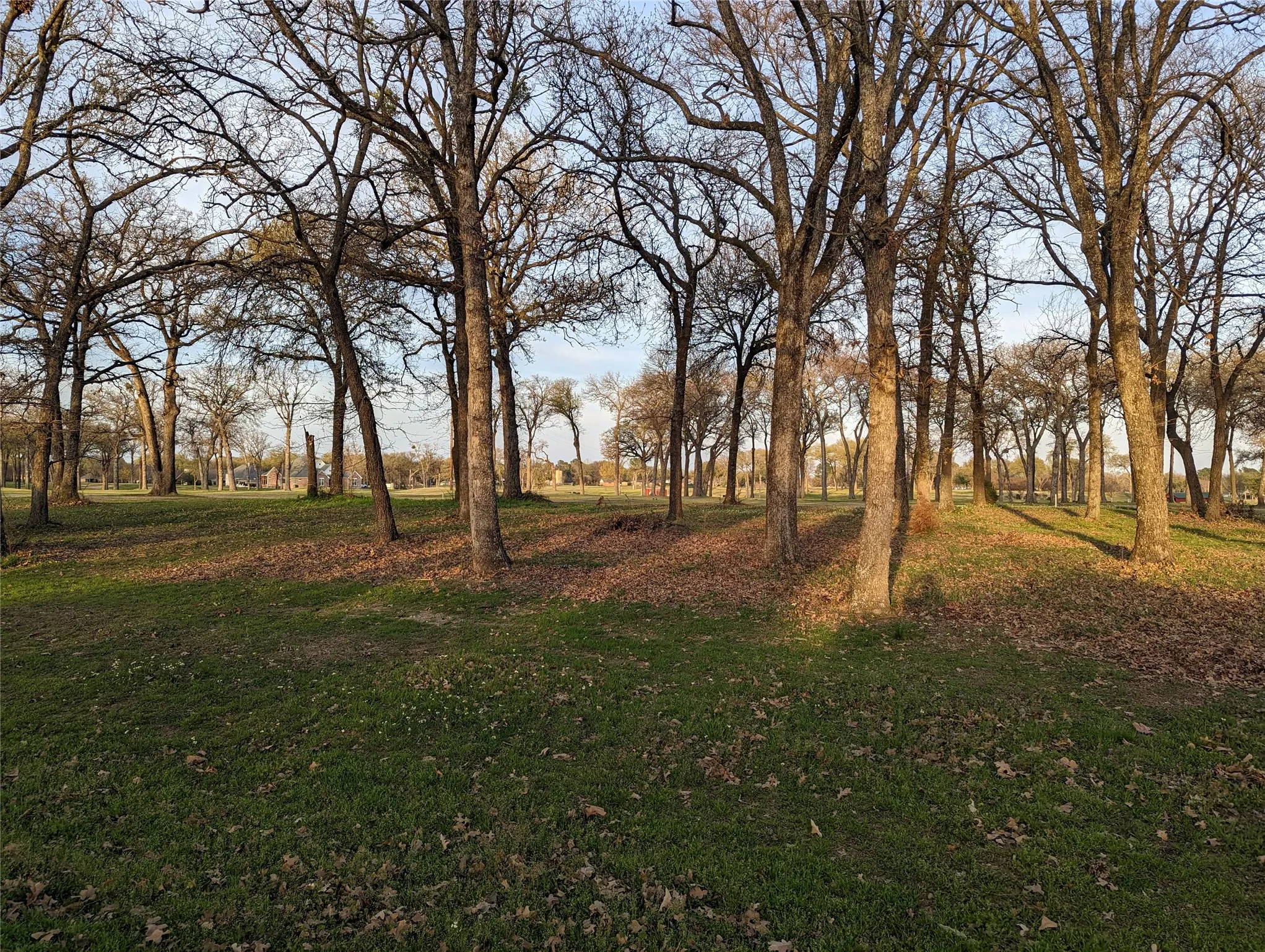 Unimproved Land For Sale in Kaufman County , 0 Briarwood Drive, Kemp, Texas 75143, 0, 0, Garage spaces, 0 Sqft, built in 0, mls#21198002, Real Estate Agent in Kemp, Homes For Sale in Kaufman county, Homes For Sale in Kemp, Realtor in Kemp Texas, Real Estate Brokerage Independent Realty Texas, Luminita Cordes Realtor