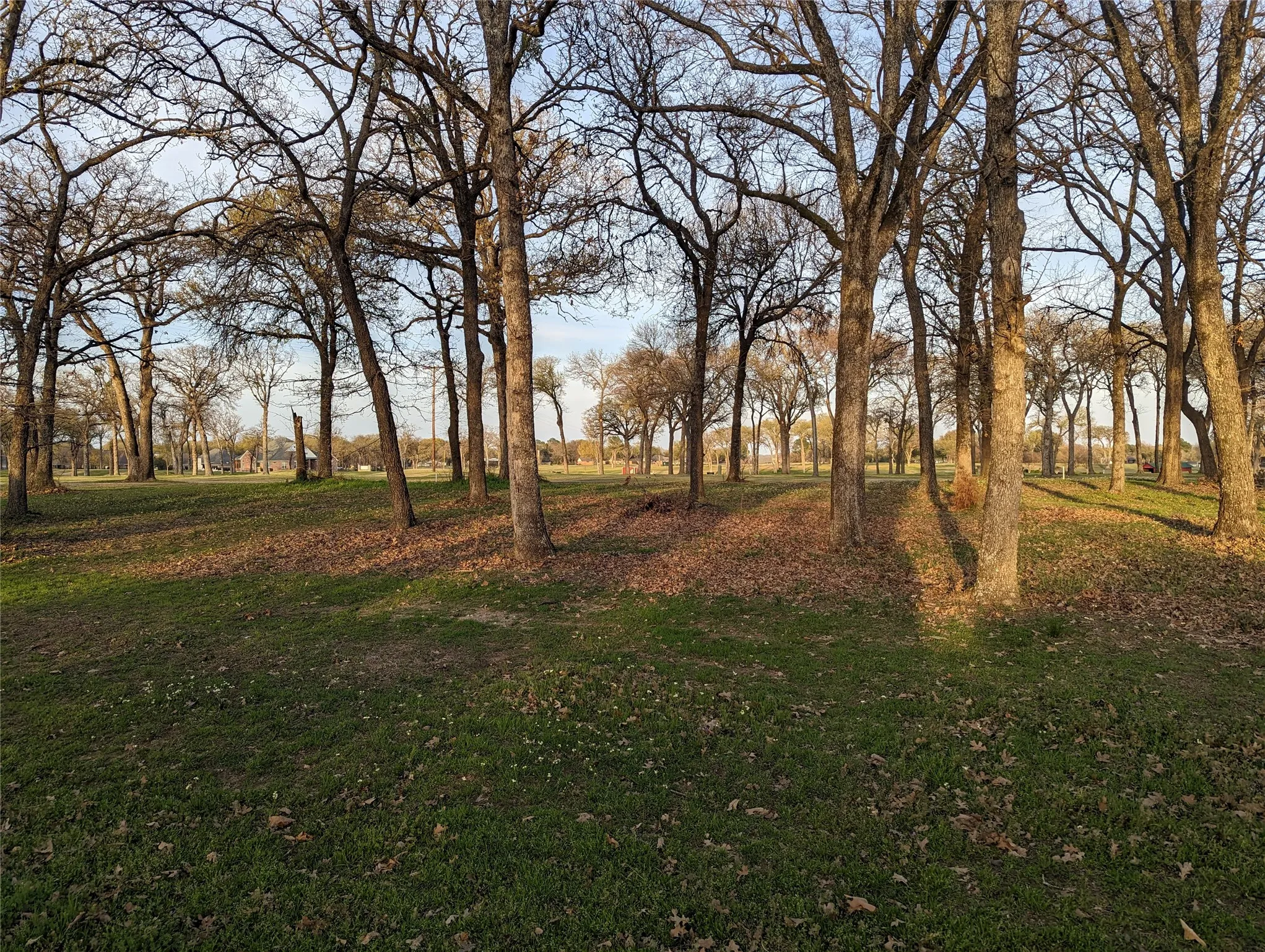 Unimproved Land For Sale in Kaufman County , 0 Briarwood Drive, Kemp, Texas 75143, 0, 0, Garage spaces, 0 Sqft, built in 0, mls#21198002, Real Estate Agent in Kemp, Homes For Sale in Kaufman county, Homes For Sale in Kemp, Realtor in Kemp Texas, Real Estate Brokerage Independent Realty Texas, Luminita Cordes Realtor