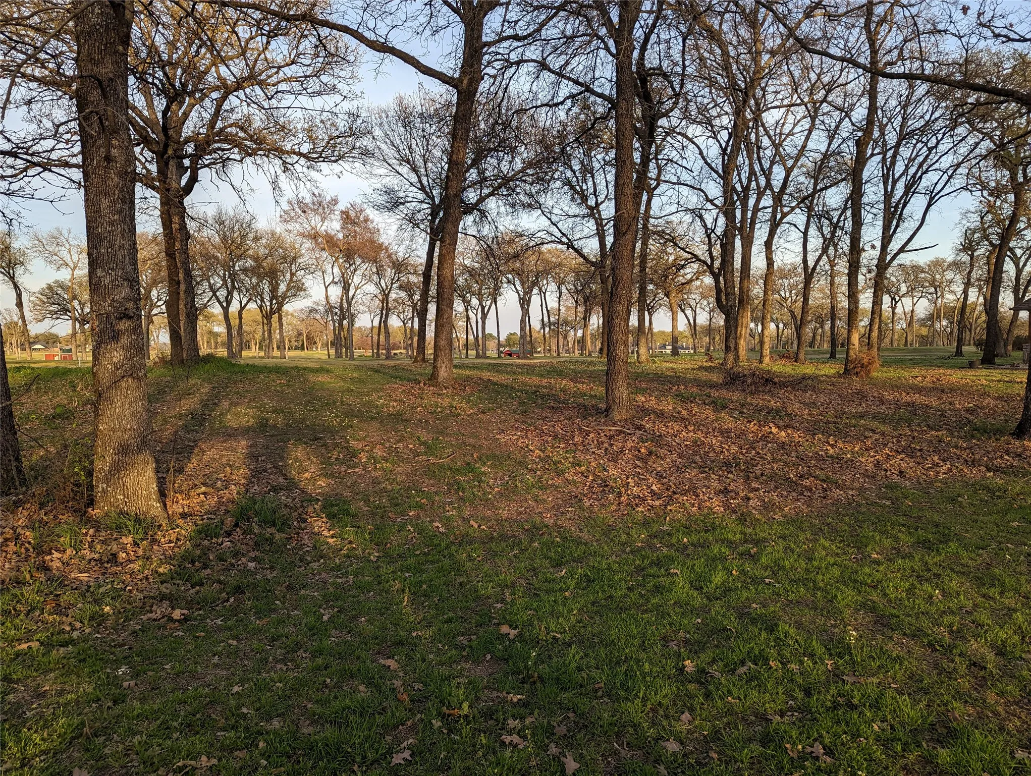 Unimproved Land For Sale in Kaufman County , 0 Briarwood Drive, Kemp, Texas 75143, 0, 0, Garage spaces, 0 Sqft, built in 0, mls#21198002, Real Estate Agent in Kemp, Homes For Sale in Kaufman county, Homes For Sale in Kemp, Realtor in Kemp Texas, Real Estate Brokerage Independent Realty Texas, Luminita Cordes Realtor
