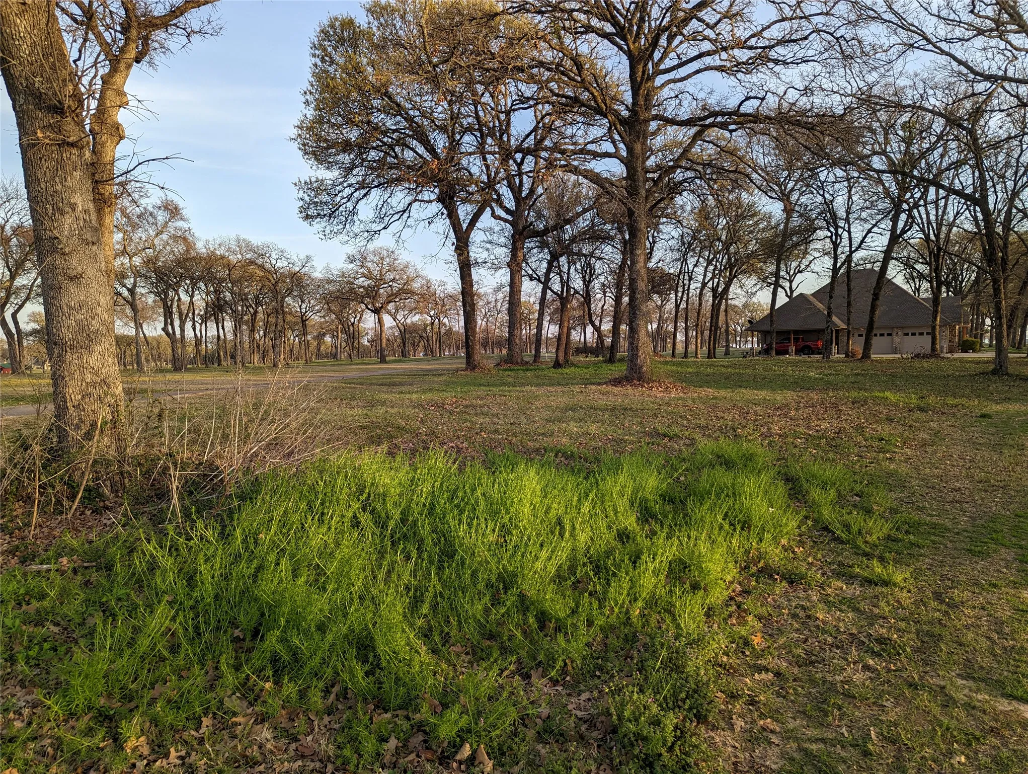 Unimproved Land For Sale in Kaufman County , 0 Briarwood Drive, Kemp, Texas 75143, 0, 0, Garage spaces, 0 Sqft, built in 0, mls#21198002, Real Estate Agent in Kemp, Homes For Sale in Kaufman county, Homes For Sale in Kemp, Realtor in Kemp Texas, Real Estate Brokerage Independent Realty Texas, Luminita Cordes Realtor