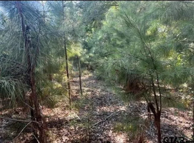 Single Family Residence For Sale in Henderson County , 22847 FM 2215, Frankston, Texas 75763, 2 Bedroom, 2 Bathroom, Garage spaces, 1,566 Sqft, built in 1973, mls#21197994, Real Estate Agent in Frankston, Homes For Sale in Henderson county, Homes For Sale in Frankston, Realtor in Frankston Texas, Real Estate Brokerage Independent Realty Texas, Luminita Cordes Realtor