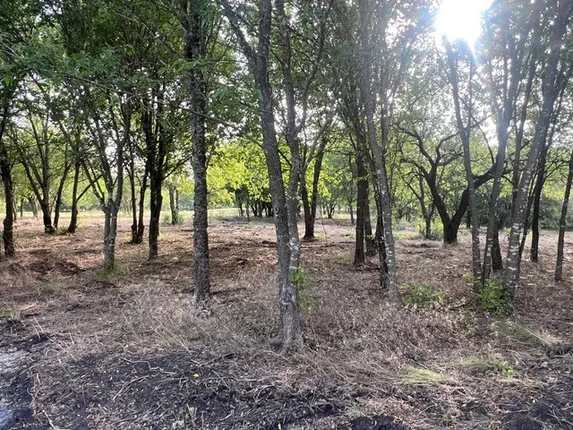 Unimproved Land For Sale in Ellis County , 661 Joanna Lane, Italy, Texas 76651, 0, 0, Garage spaces, 0 Sqft, built in 0, Price $650,000, mls#21196241, Real Estate Agent in Italy, Homes For Sale in Ellis county, Homes For Sale in Italy, Realtor in Italy Texas, Real Estate Brokerage Independent Realty Texas, Luminita Cordes Realtor