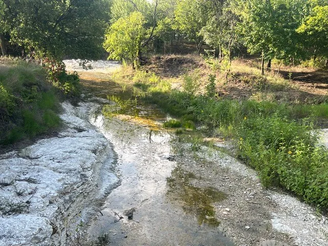 Unimproved Land For Sale in Ellis County , 661 Joanna Lane, Italy, Texas 76651, 0, 0, Garage spaces, 0 Sqft, built in 0, Price $650,000, mls#21196241, Real Estate Agent in Italy, Homes For Sale in Ellis county, Homes For Sale in Italy, Realtor in Italy Texas, Real Estate Brokerage Independent Realty Texas, Luminita Cordes Realtor