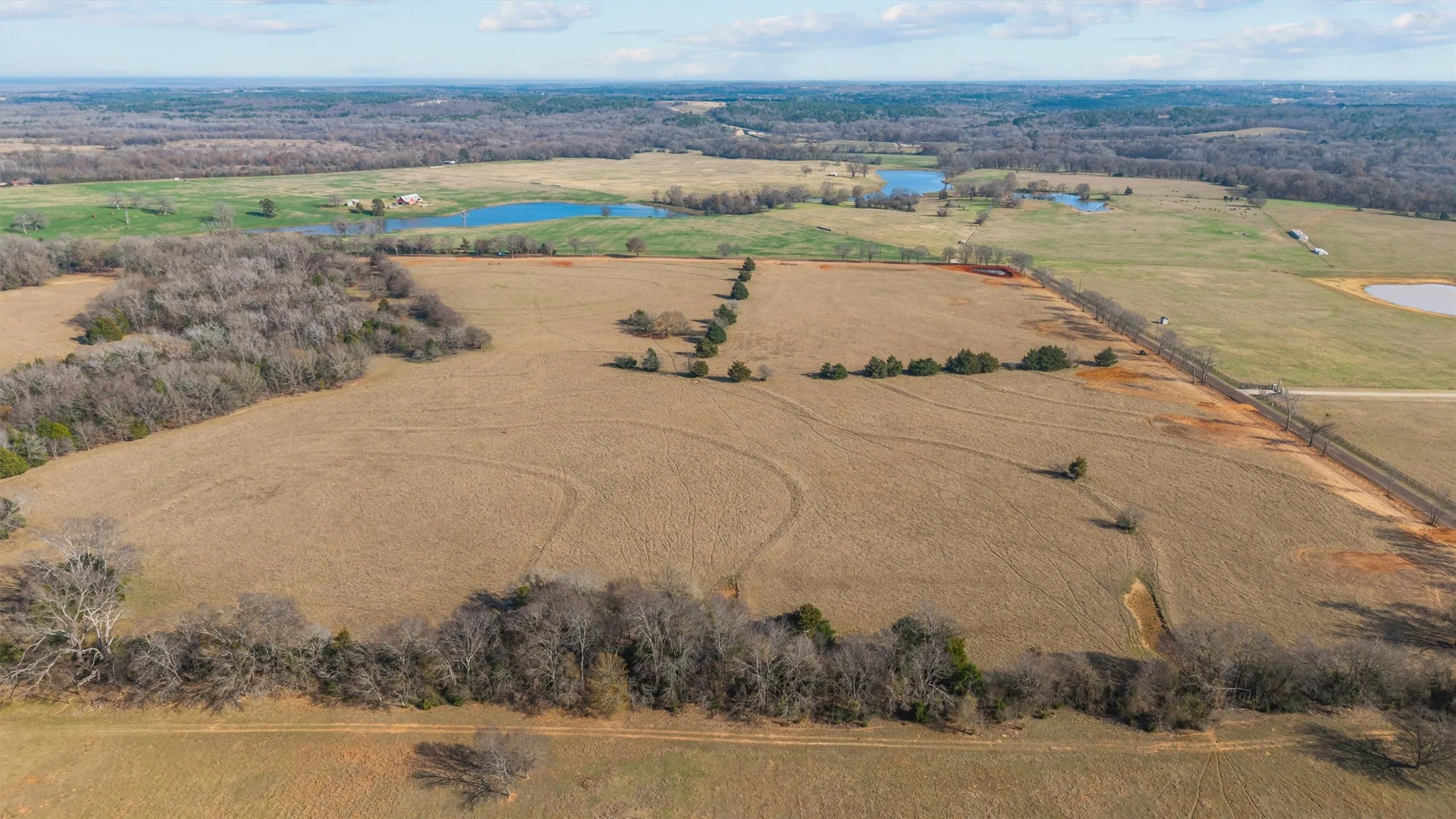 Unimproved Land For Sale in Smith County , 17700 County Road 477, Lindale, Texas 75771, 0, 0, Garage spaces, 0 Sqft, built in 0, mls#21198169, Real Estate Agent in Lindale, Homes For Sale in Smith county, Homes For Sale in Lindale, Realtor in Lindale Texas, Real Estate Brokerage Independent Realty Texas, Luminita Cordes Realtor