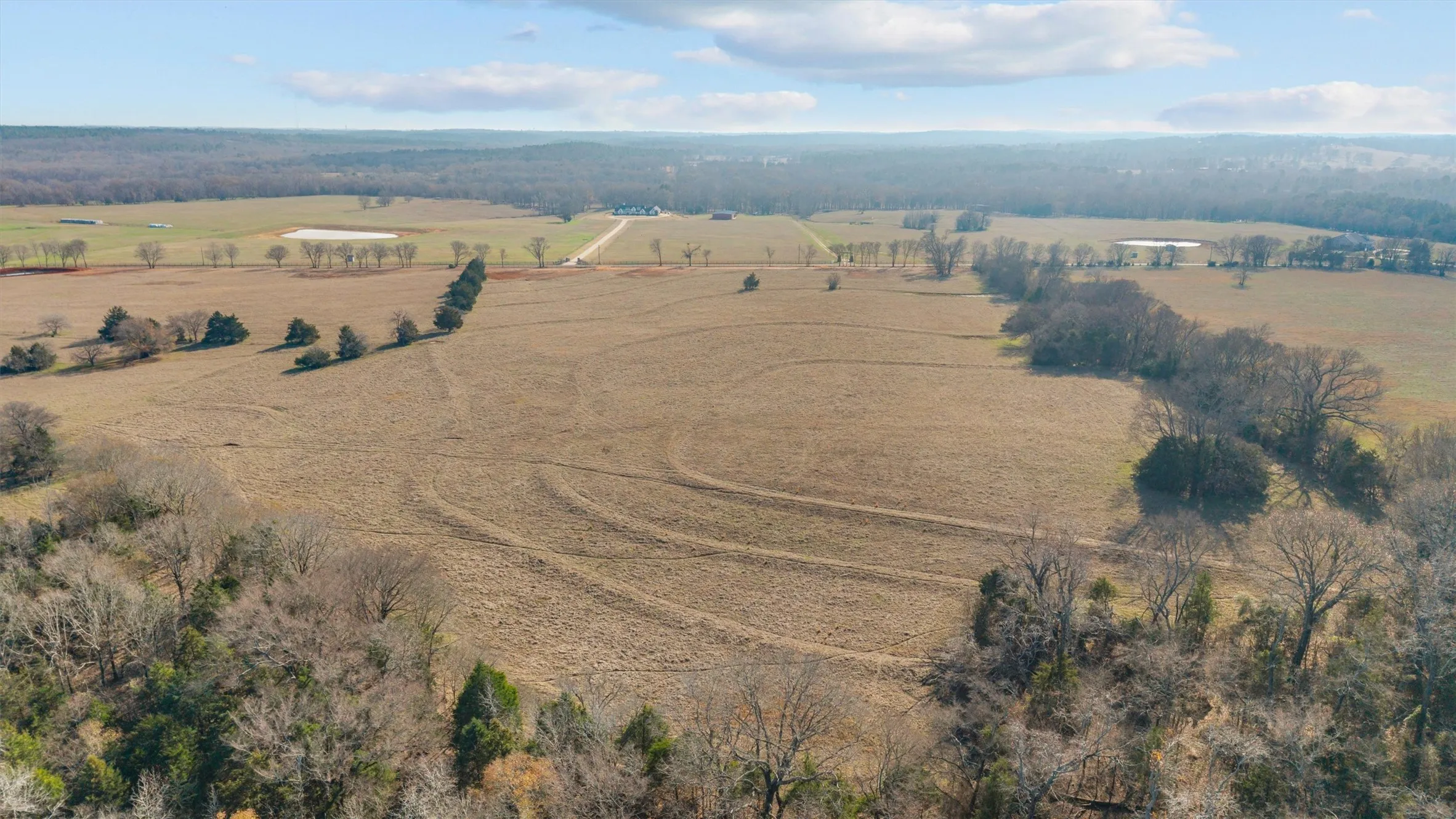 Unimproved Land For Sale in Smith County , 17700 County Road 477, Lindale, Texas 75771, 0, 0, Garage spaces, 0 Sqft, built in 0, mls#21198169, Real Estate Agent in Lindale, Homes For Sale in Smith county, Homes For Sale in Lindale, Realtor in Lindale Texas, Real Estate Brokerage Independent Realty Texas, Luminita Cordes Realtor