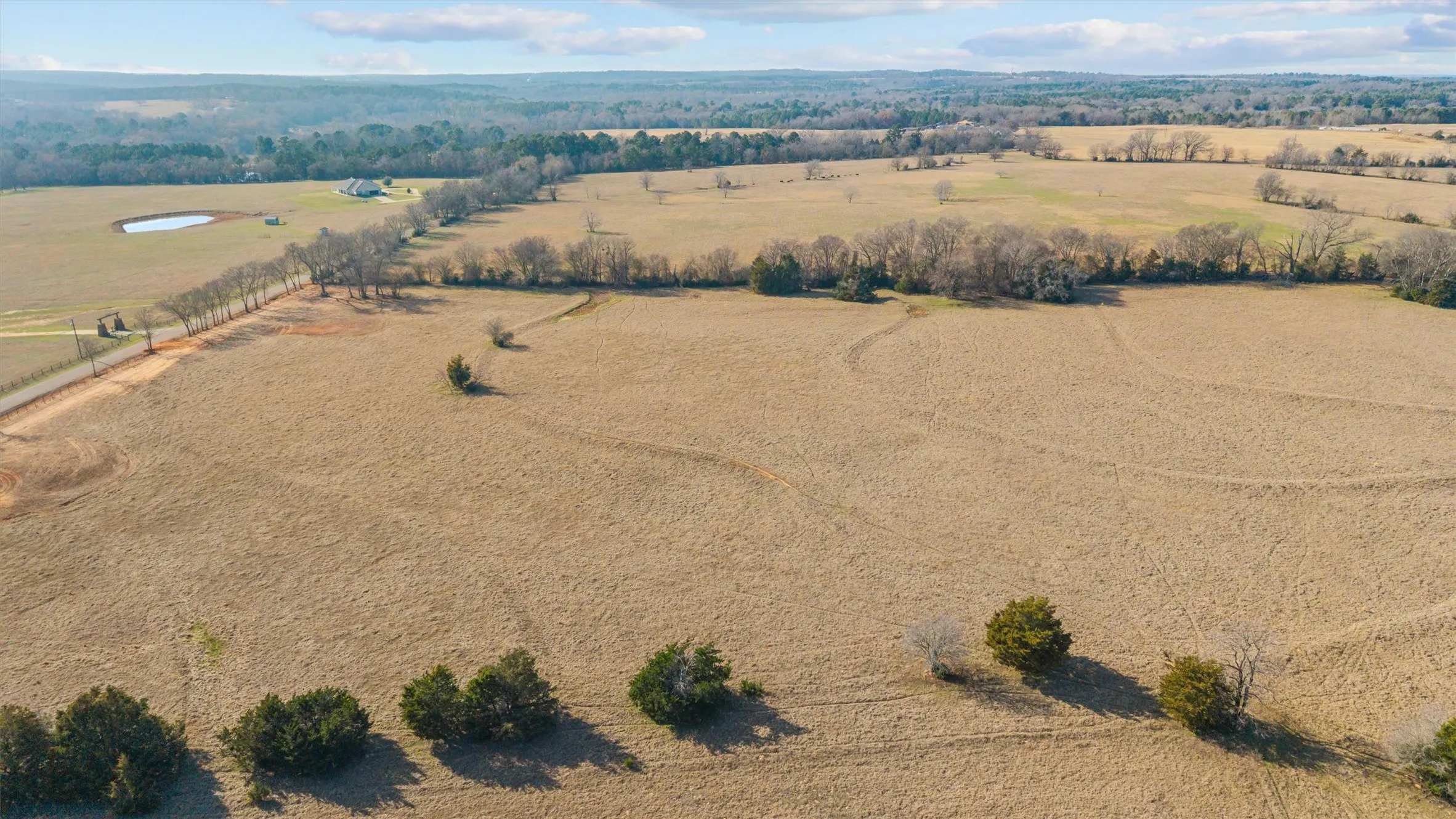 Unimproved Land For Sale in Smith County , 17700 County Road 477, Lindale, Texas 75771, 0, 0, Garage spaces, 0 Sqft, built in 0, mls#21198196, Real Estate Agent in Lindale, Homes For Sale in Smith county, Homes For Sale in Lindale, Realtor in Lindale Texas, Real Estate Brokerage Independent Realty Texas, Luminita Cordes Realtor