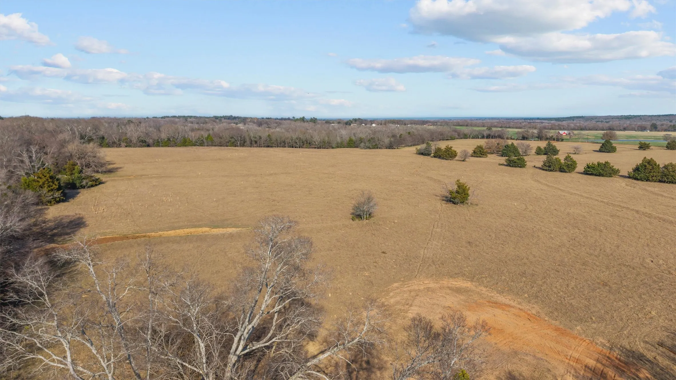 Unimproved Land For Sale in Smith County , 17700 County Road 477, Lindale, Texas 75771, 0, 0, Garage spaces, 0 Sqft, built in 0, mls#21198209, Real Estate Agent in Lindale, Homes For Sale in Smith county, Homes For Sale in Lindale, Realtor in Lindale Texas, Real Estate Brokerage Independent Realty Texas, Luminita Cordes Realtor