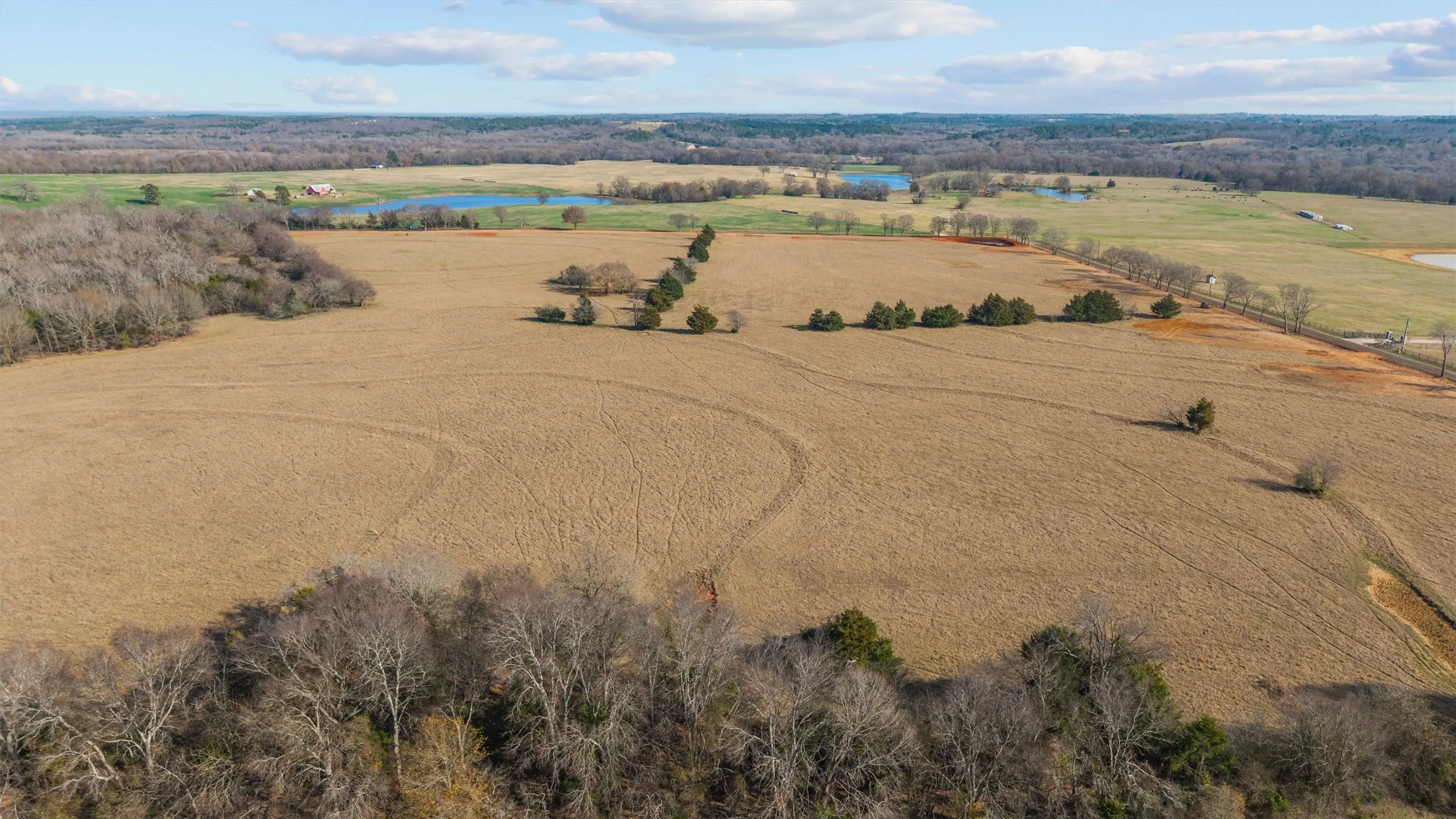 Unimproved Land For Sale in Smith County , 17700 County Road 477, Lindale, Texas 75771, 0, 0, Garage spaces, 0 Sqft, built in 0, mls#21198209, Real Estate Agent in Lindale, Homes For Sale in Smith county, Homes For Sale in Lindale, Realtor in Lindale Texas, Real Estate Brokerage Independent Realty Texas, Luminita Cordes Realtor