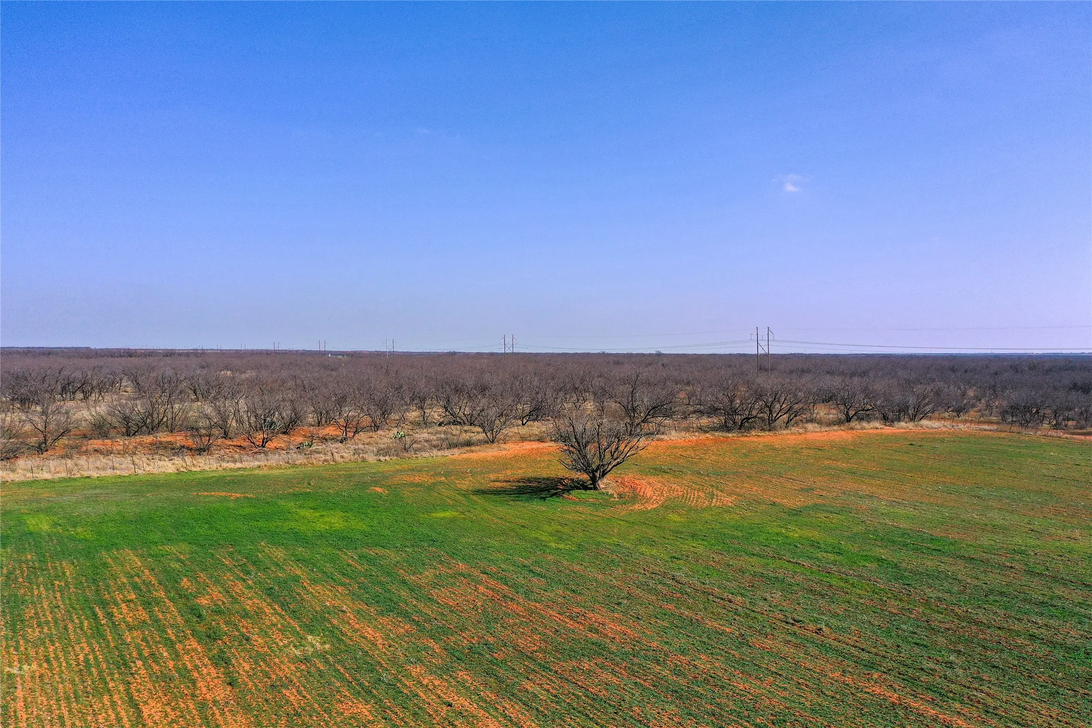 Ranch For Sale in Haskell County , TBD Kimbrough Road, Haskell, Texas 79521, 0, 0, Garage spaces, 0 Sqft, built in 0, mls#21188306, Real Estate Agent in Haskell, Homes For Sale in Haskell county, Homes For Sale in Haskell, Realtor in Haskell Texas, Real Estate Brokerage Independent Realty Texas, Luminita Cordes Realtor