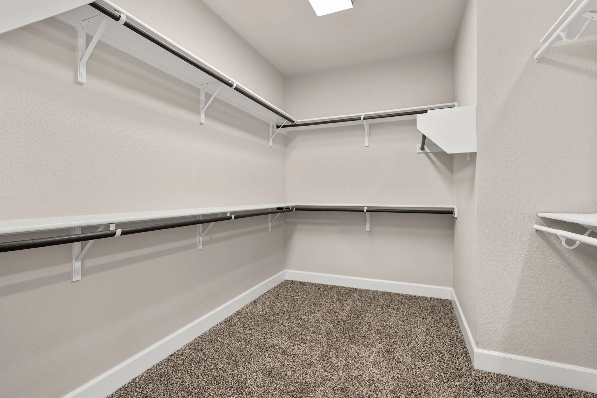 Walk in closet featuring dark colored carpet