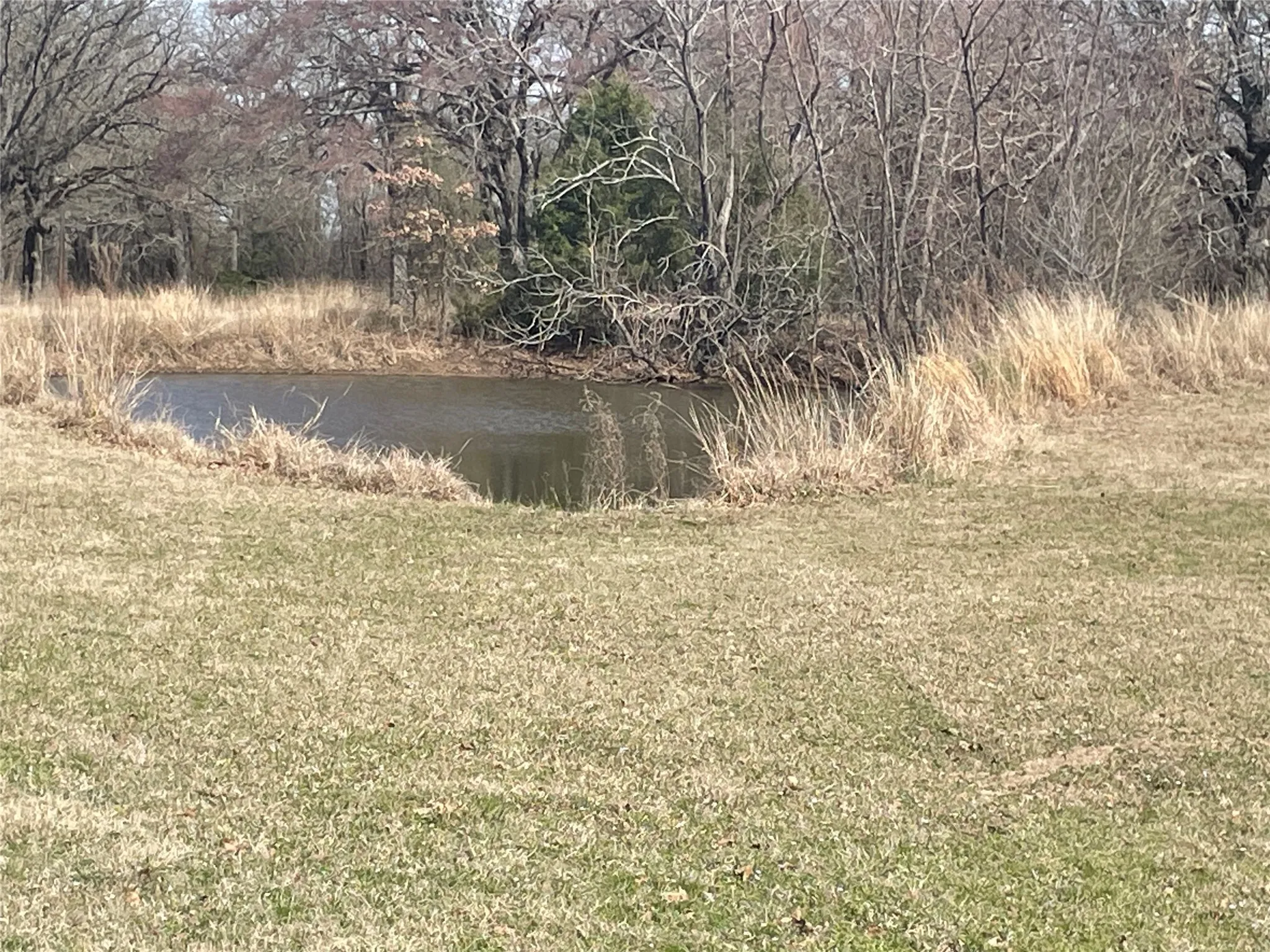 Farm For Sale in Van Zandt County , 1226 Vz County Road, Grand Saline, Texas 75140, 3 Bedroom, 2 Bathroom, Garage spaces, 1,798 Sqft, built in 2000, mls#21198343, Real Estate Agent in Grand Saline, Homes For Sale in Van Zandt county, Homes For Sale in Grand Saline, Realtor in Grand Saline Texas, Real Estate Brokerage Independent Realty Texas, Luminita Cordes Realtor