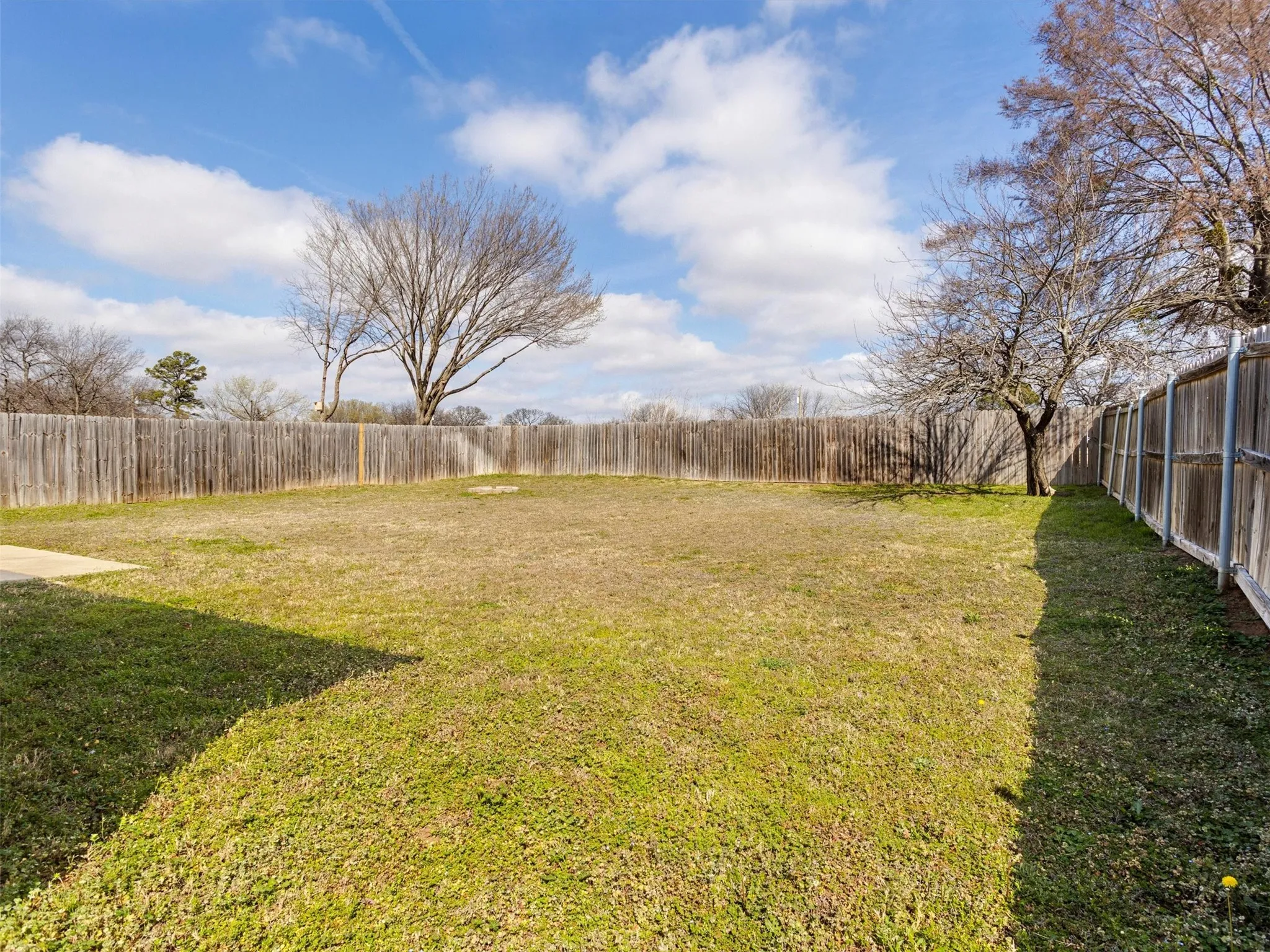 Back Yard