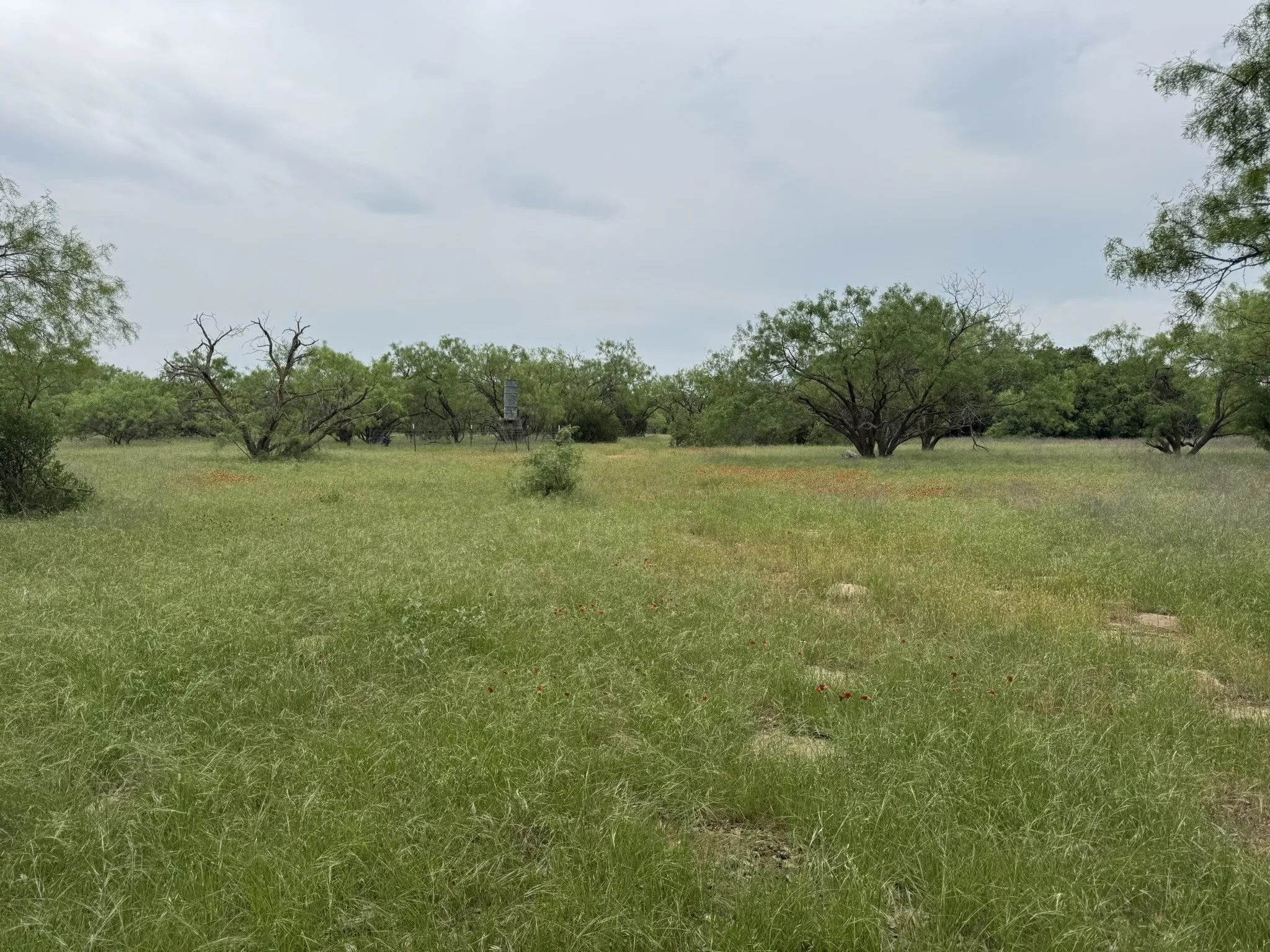 Single Family Residence For Sale in Stephens County , 12550 County Road 136, Breckenridge, Texas 76470, 1 Bedroom, 0, Garage spaces, 200 Sqft, built in 2021, Unknown, Price $299,000, mls#21198532, Real Estate Agent in Breckenridge, Homes For Sale in Stephens county, Homes For Sale in Breckenridge, Realtor in Breckenridge Texas, Real Estate Brokerage Independent Realty Texas, Luminita Cordes Realtor