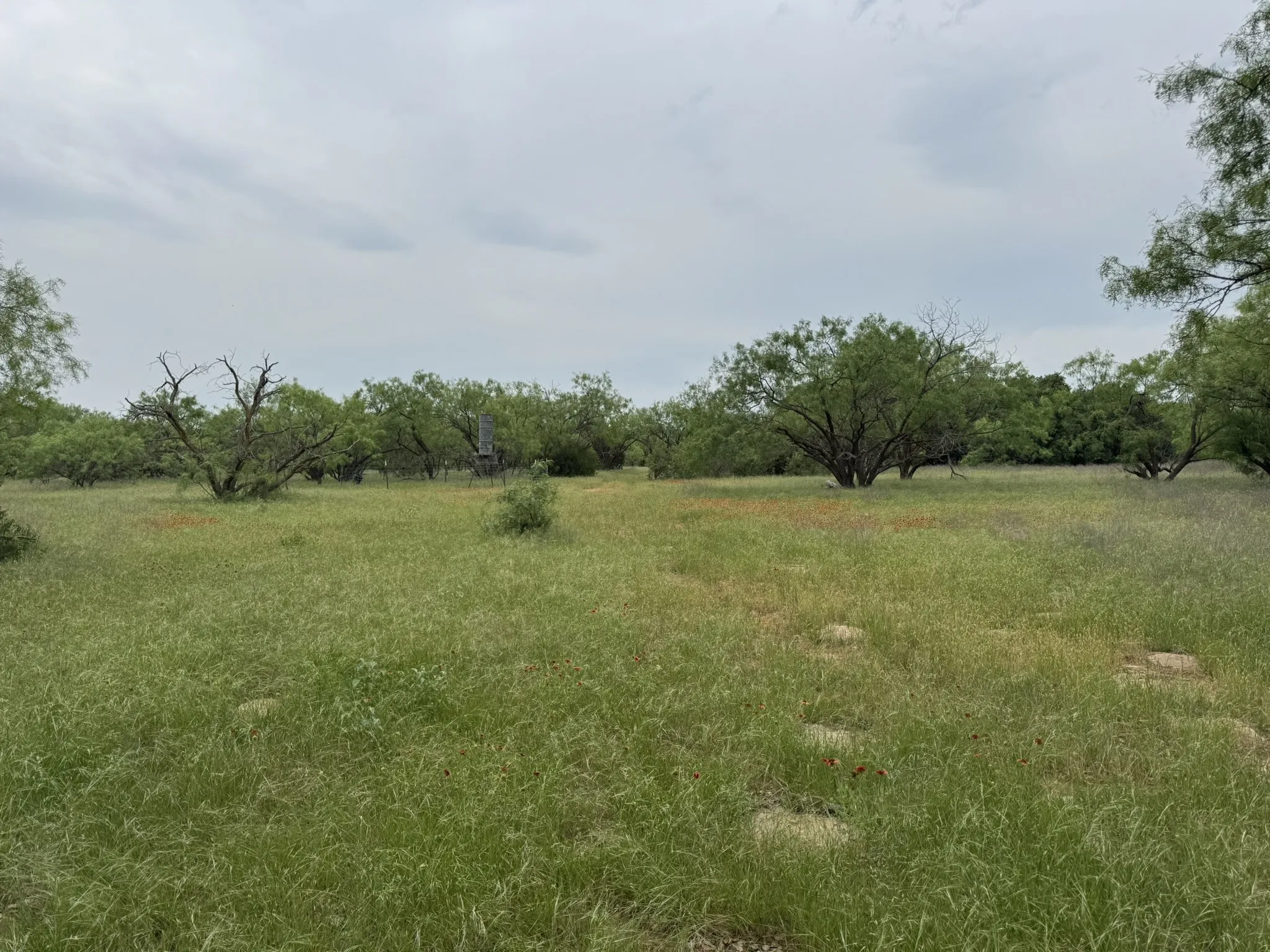 Single Family Residence For Sale in Stephens County , 12550 County Road 136, Breckenridge, Texas 76470, 1 Bedroom, 0, Garage spaces, 200 Sqft, built in 2021, Unknown, Price $299,000, mls#21198532, Real Estate Agent in Breckenridge, Homes For Sale in Stephens county, Homes For Sale in Breckenridge, Realtor in Breckenridge Texas, Real Estate Brokerage Independent Realty Texas, Luminita Cordes Realtor