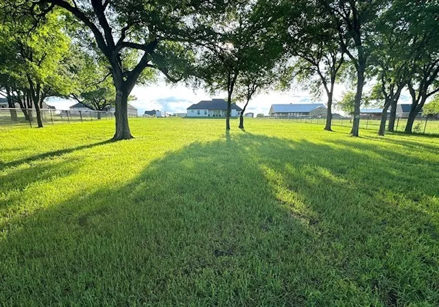 Current with trees filled in.