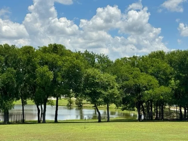 Everything is Green from the rain