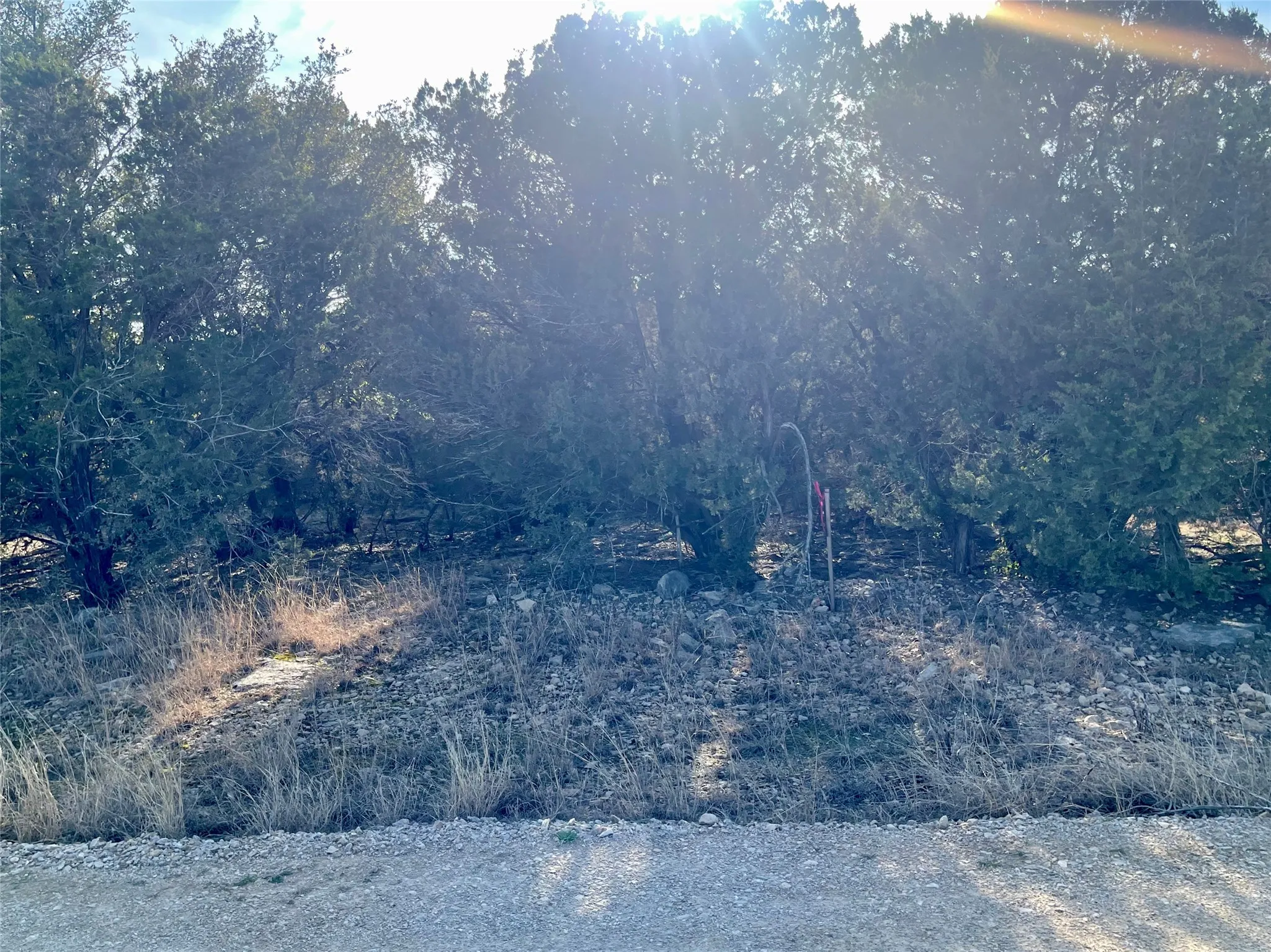 Boundary marker stake about midway section of the lot - viewed from Arrowhead Road