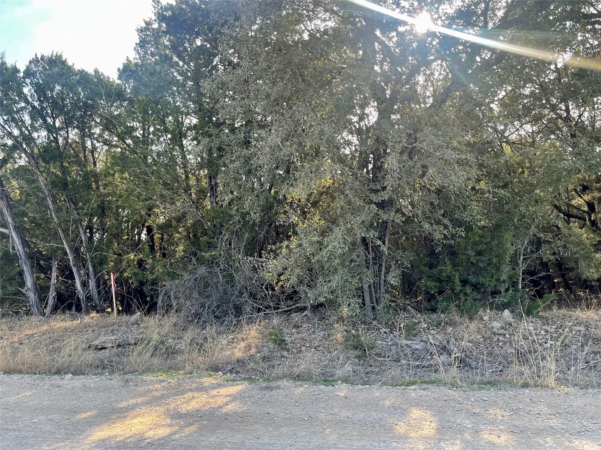 Recently surveyed - stake along Arrowhead Rd