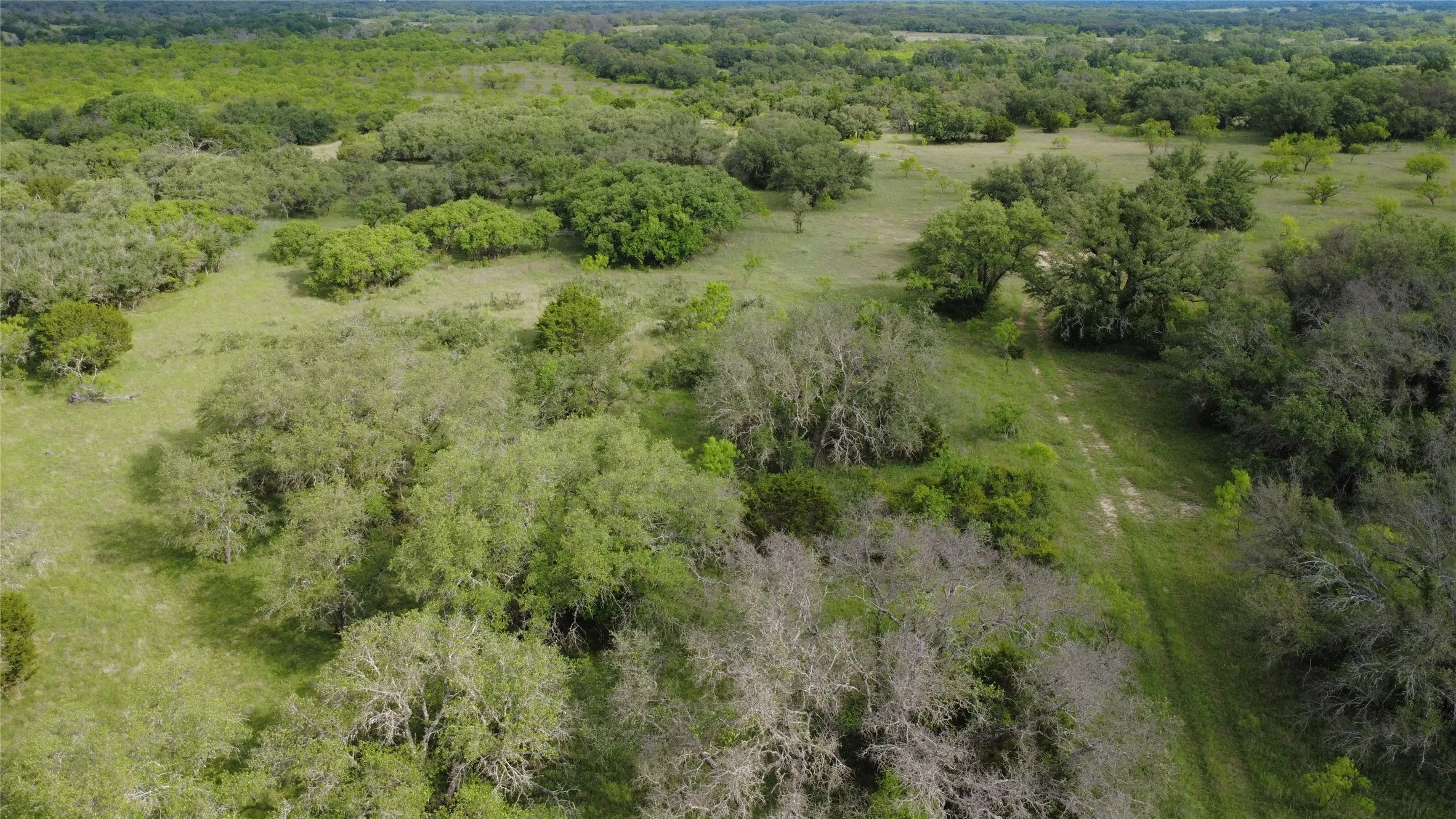 Ranch For Sale in Mills County , 360 County Road 199, Mullin, Texas 76864, 0, 0, Garage spaces, 0 Sqft, built in 0, mls#21198666, Real Estate Agent in Mullin, Homes For Sale in Mills county, Homes For Sale in Mullin, Realtor in Mullin Texas, Real Estate Brokerage Independent Realty Texas, Luminita Cordes Realtor