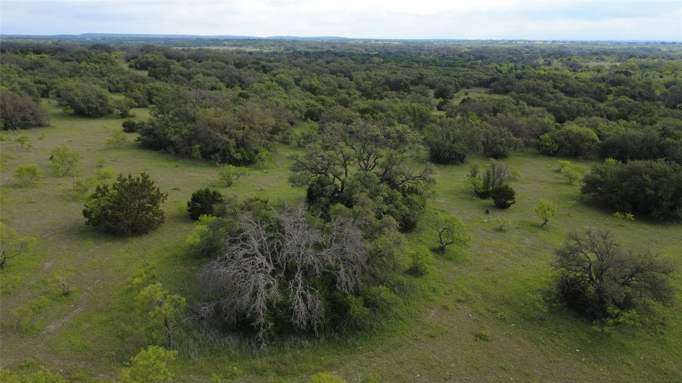 Ranch For Sale in Mills County , 360 County Road 199, Mullin, Texas 76864, 0, 0, Garage spaces, 0 Sqft, built in 0, mls#21198666, Real Estate Agent in Mullin, Homes For Sale in Mills county, Homes For Sale in Mullin, Realtor in Mullin Texas, Real Estate Brokerage Independent Realty Texas, Luminita Cordes Realtor