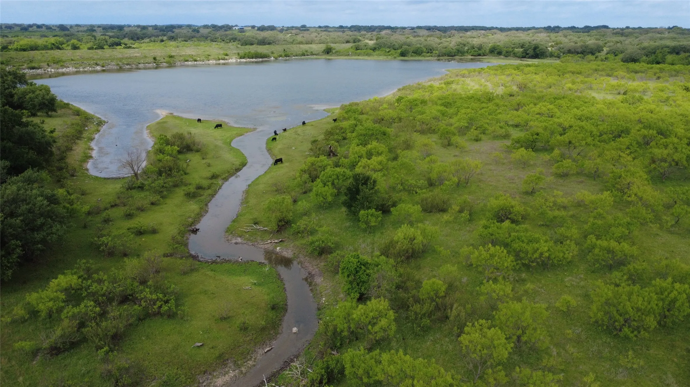 Ranch For Sale in Mills County , 360 County Road 199, Mullin, Texas 76864, 0, 0, Garage spaces, 0 Sqft, built in 0, mls#21198666, Real Estate Agent in Mullin, Homes For Sale in Mills county, Homes For Sale in Mullin, Realtor in Mullin Texas, Real Estate Brokerage Independent Realty Texas, Luminita Cordes Realtor