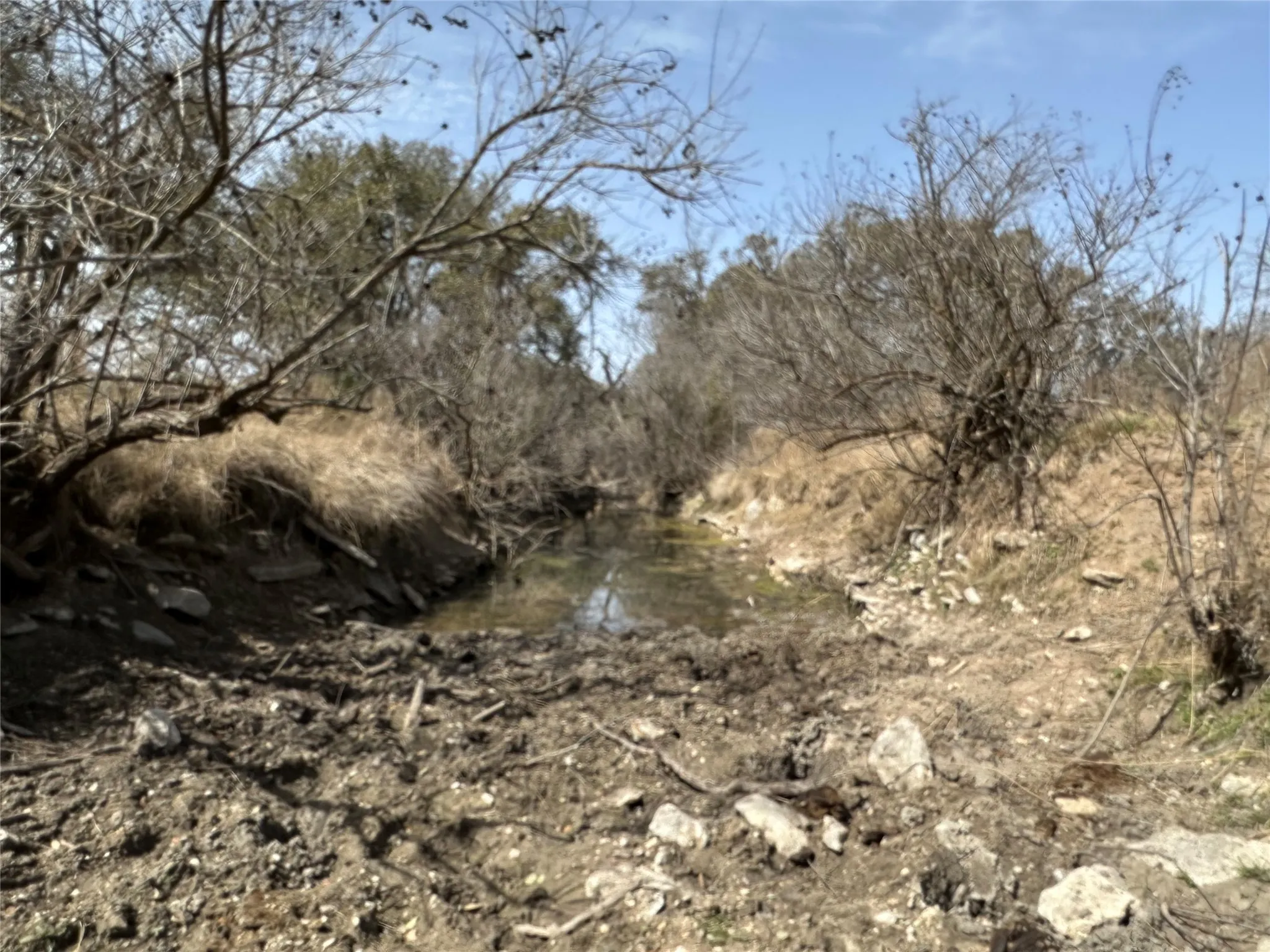 Ranch For Sale in Mills County , 360 County Road 199, Mullin, Texas 76864, 0, 0, Garage spaces, 0 Sqft, built in 0, mls#21198666, Real Estate Agent in Mullin, Homes For Sale in Mills county, Homes For Sale in Mullin, Realtor in Mullin Texas, Real Estate Brokerage Independent Realty Texas, Luminita Cordes Realtor