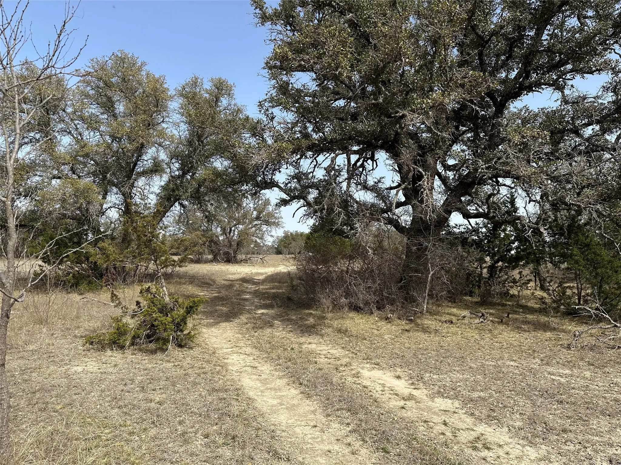 Ranch For Sale in Mills County , 360 County Road 199, Mullin, Texas 76864, 0, 0, Garage spaces, 0 Sqft, built in 0, mls#21198666, Real Estate Agent in Mullin, Homes For Sale in Mills county, Homes For Sale in Mullin, Realtor in Mullin Texas, Real Estate Brokerage Independent Realty Texas, Luminita Cordes Realtor