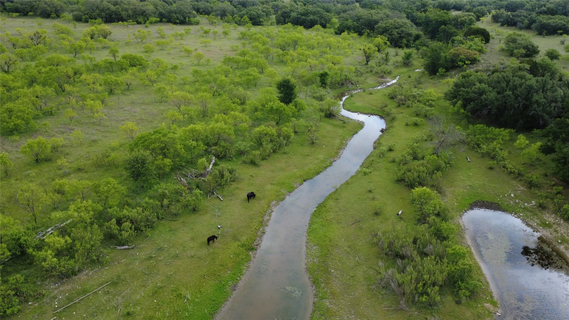 Ranch For Sale in Mills County , 360 County Road 199, Mullin, Texas 76864, 0, 0, Garage spaces, 0 Sqft, built in 0, mls#21198666, Real Estate Agent in Mullin, Homes For Sale in Mills county, Homes For Sale in Mullin, Realtor in Mullin Texas, Real Estate Brokerage Independent Realty Texas, Luminita Cordes Realtor