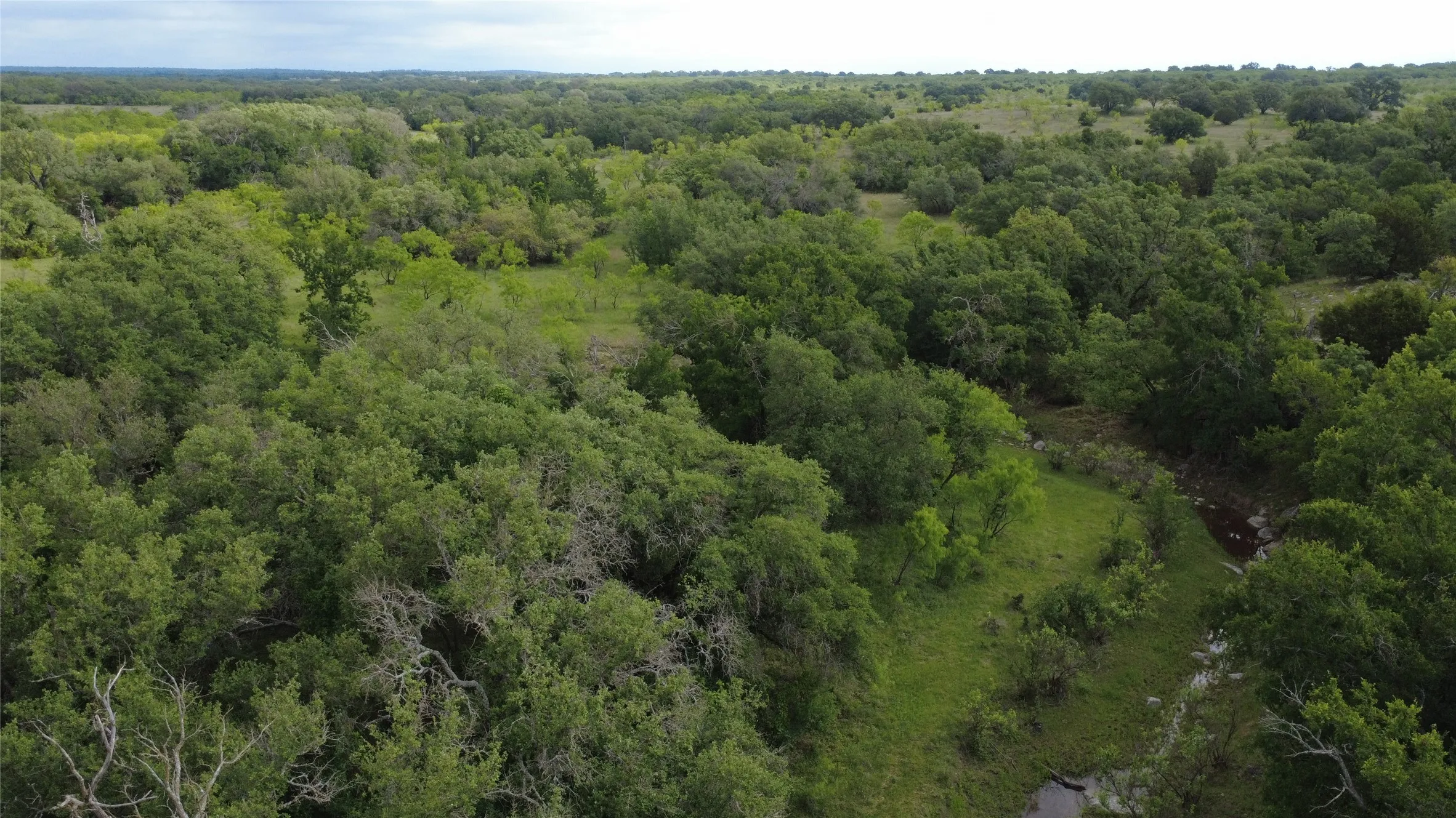 Ranch For Sale in Mills County , 360 County Road 199, Mullin, Texas 76864, 0, 0, Garage spaces, 0 Sqft, built in 0, mls#21198666, Real Estate Agent in Mullin, Homes For Sale in Mills county, Homes For Sale in Mullin, Realtor in Mullin Texas, Real Estate Brokerage Independent Realty Texas, Luminita Cordes Realtor